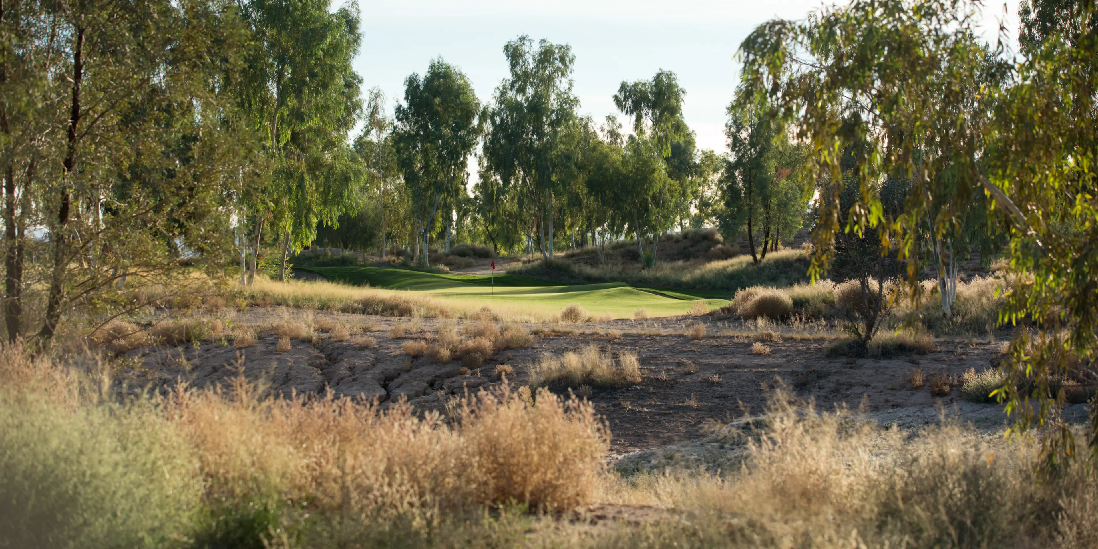 Landscape putting greens and fairway photo of the Ak-Chin Southern Dunes Golf Club golf course