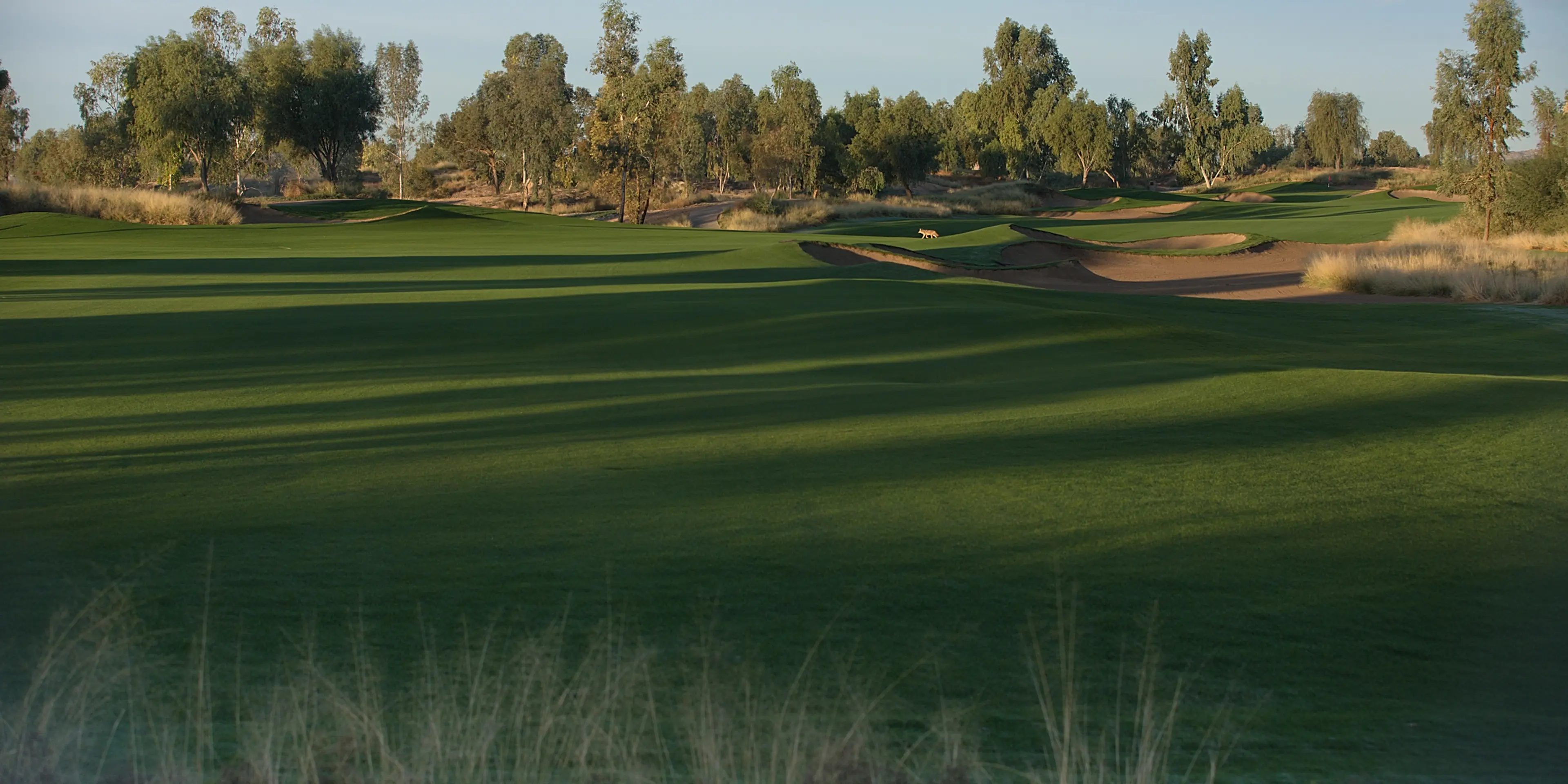Landscape putting greens and fairway photo of the Ak-Chin Southern Dunes Golf Club golf course