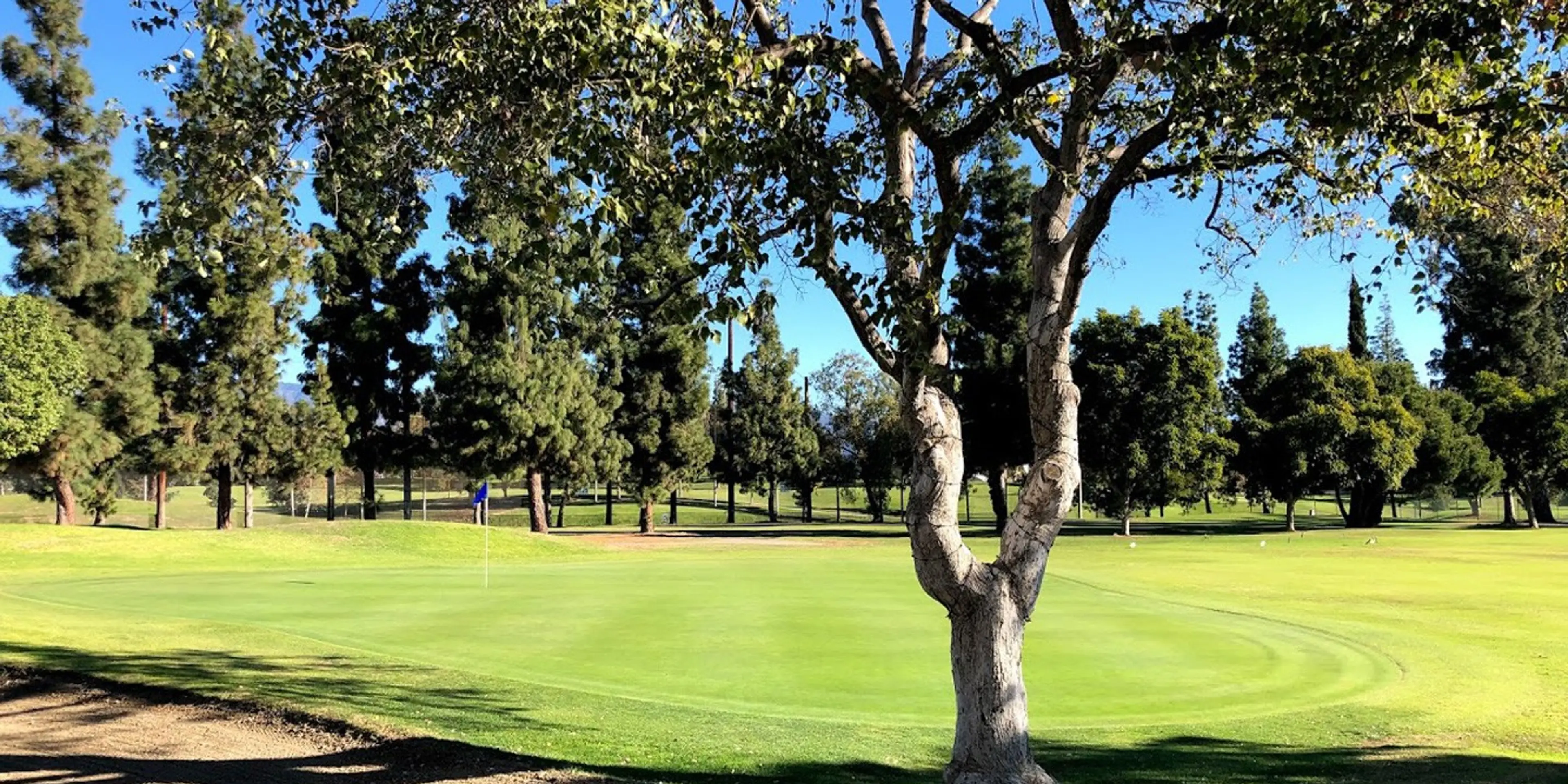 Landscape putting greens and fairway photo of the Alhambra Golf Course golf course