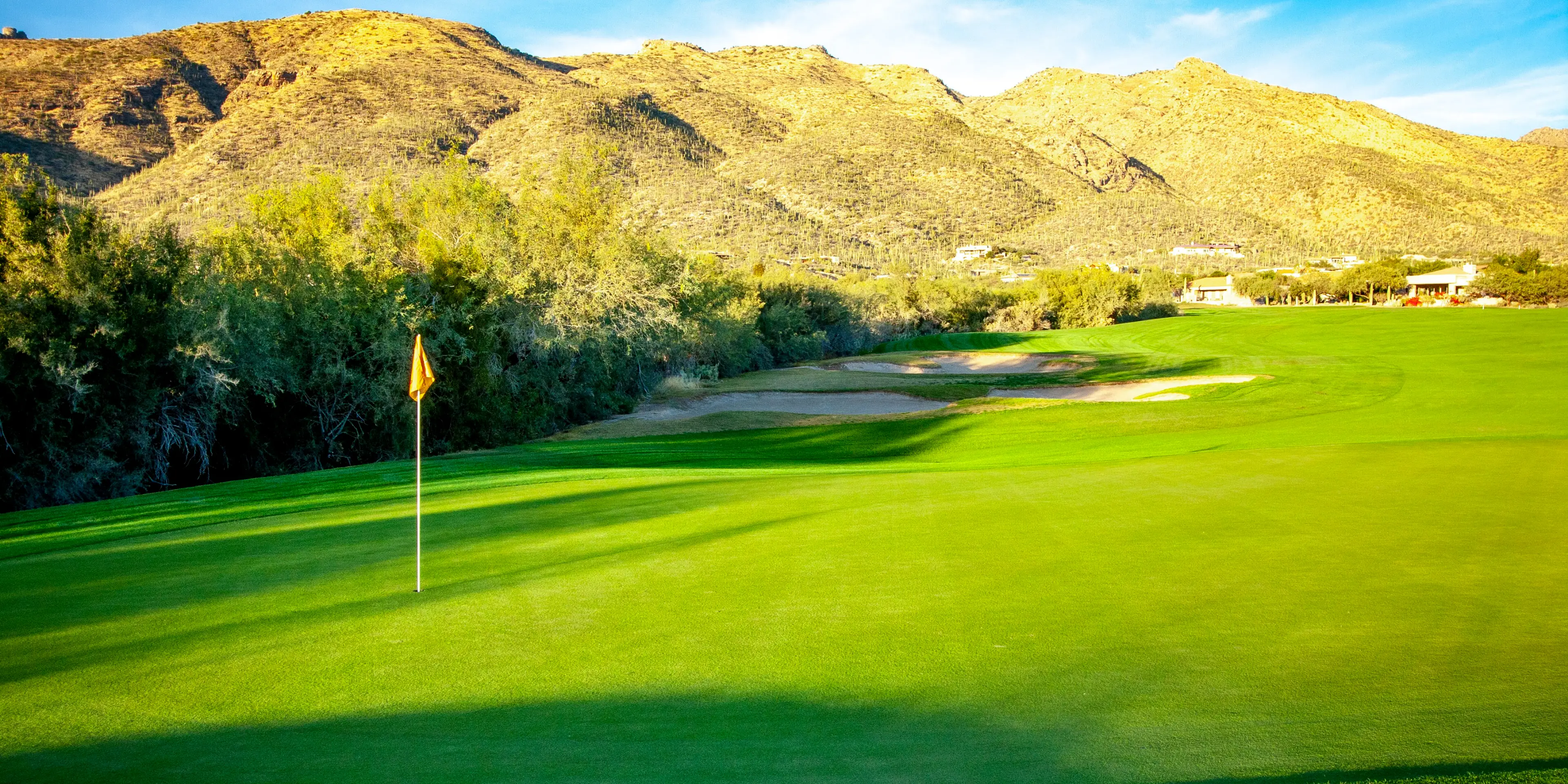 Landscape putting greens and fairway photo of the Arizona National Golf Club golf course