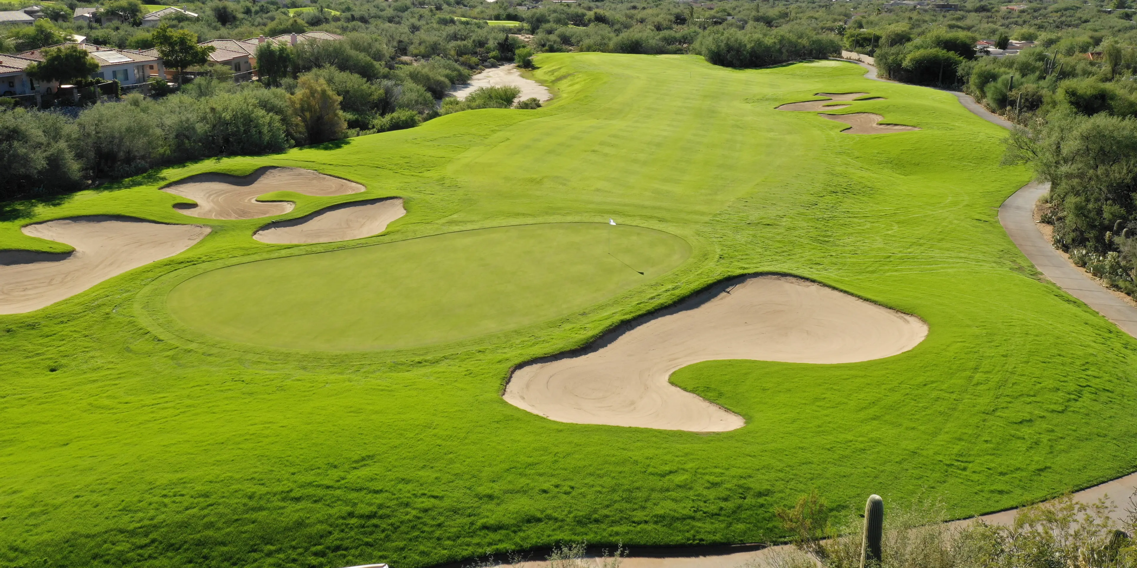 Landscape putting greens and fairway photo of the Arizona National Golf Club golf course