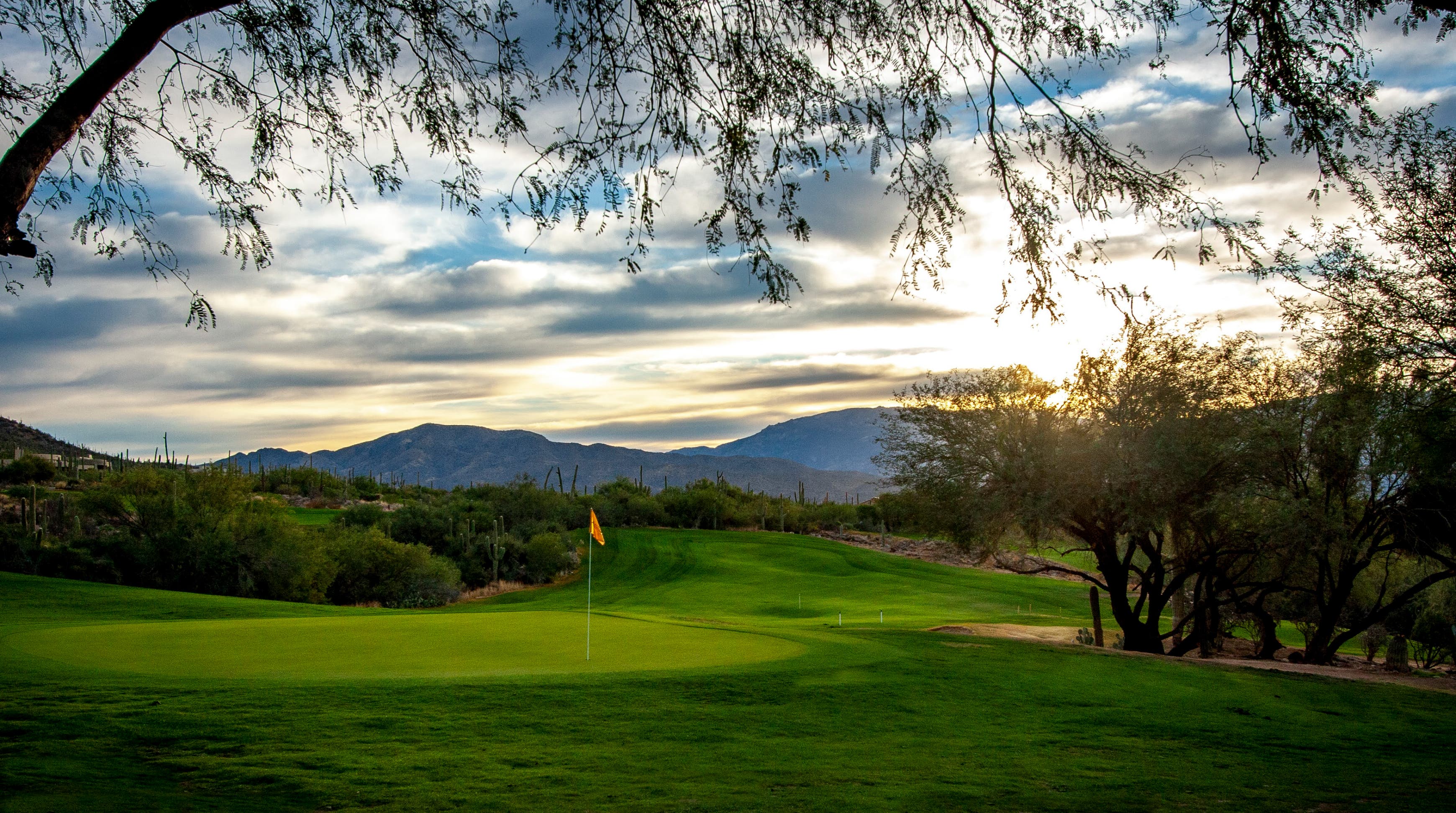Landscape putting greens and fairway photo of the Arizona National Golf Club golf course