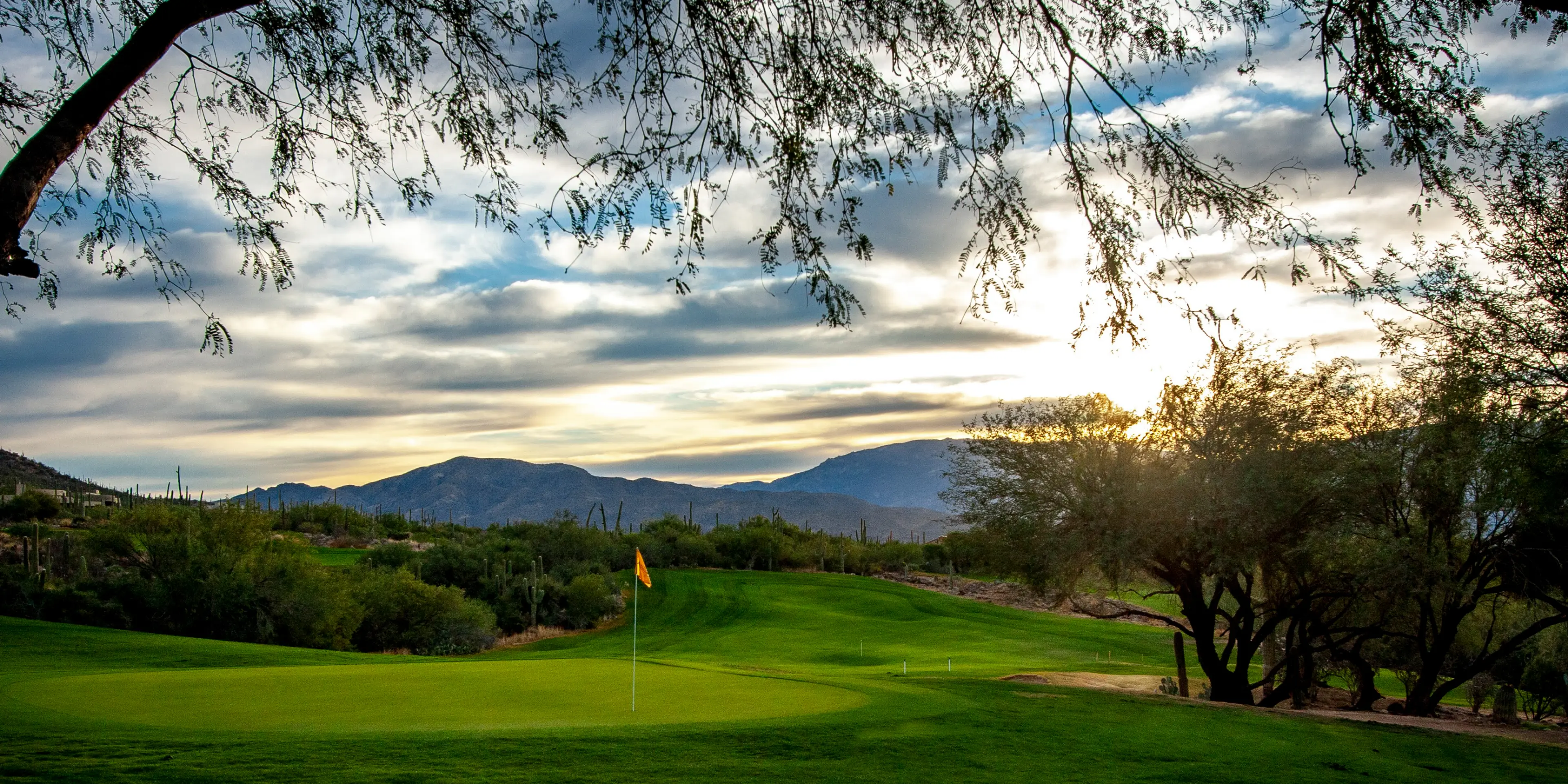 Landscape putting greens and fairway photo of the Arizona National Golf Club golf course