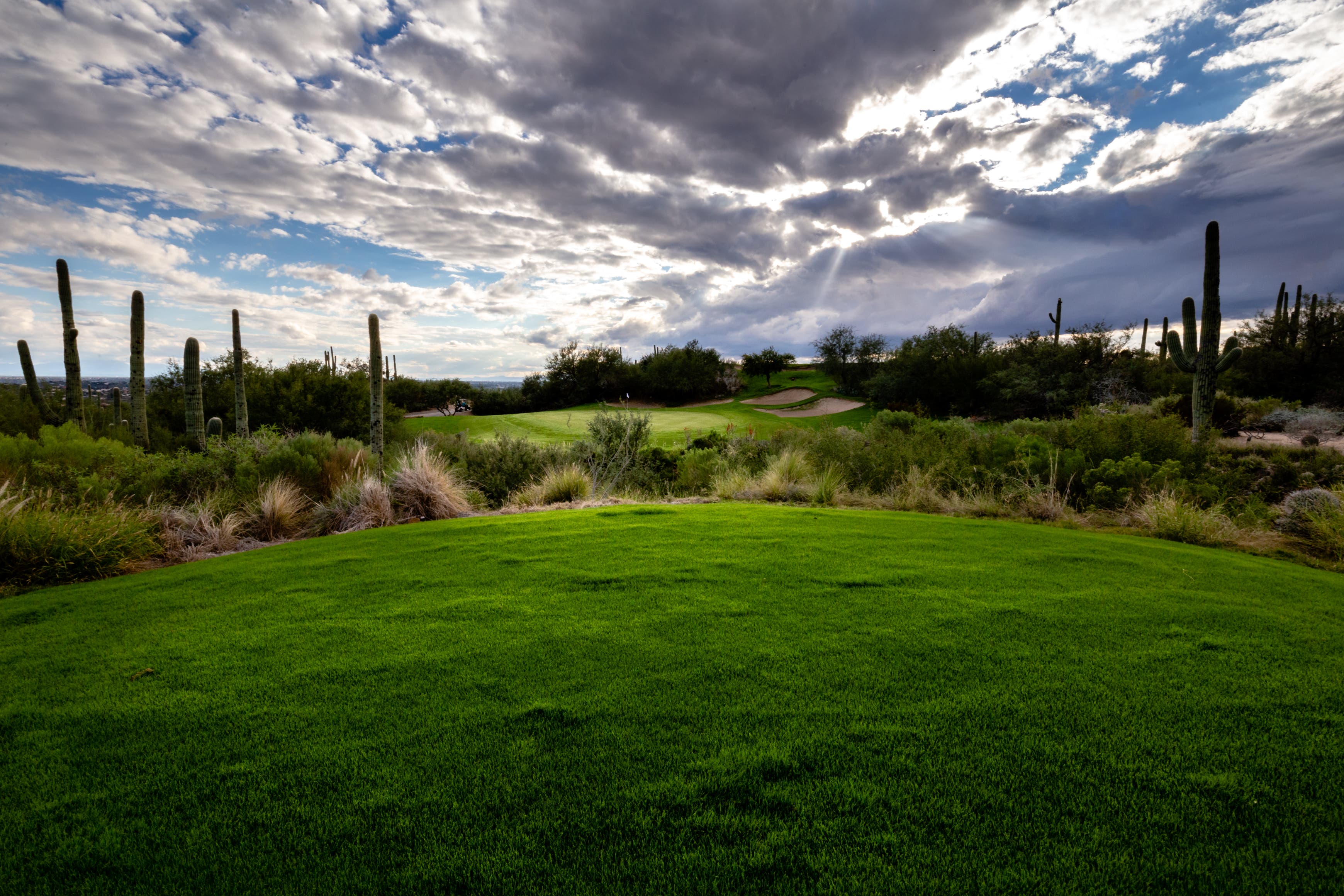 Landscape putting greens and fairway photo of the Arizona National Golf Club golf course