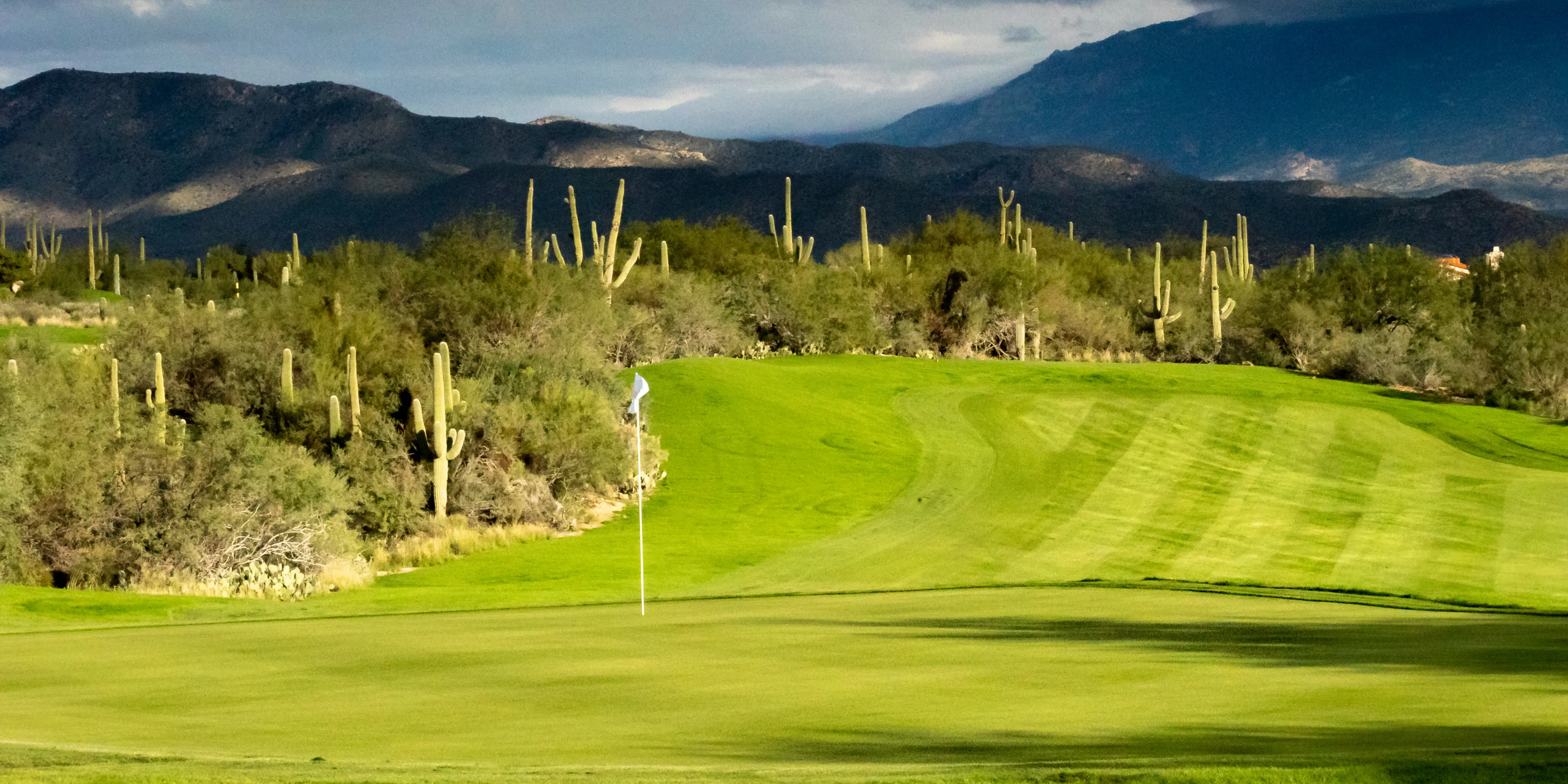 Landscape putting greens and fairway photo of the Arizona National Golf Club golf course