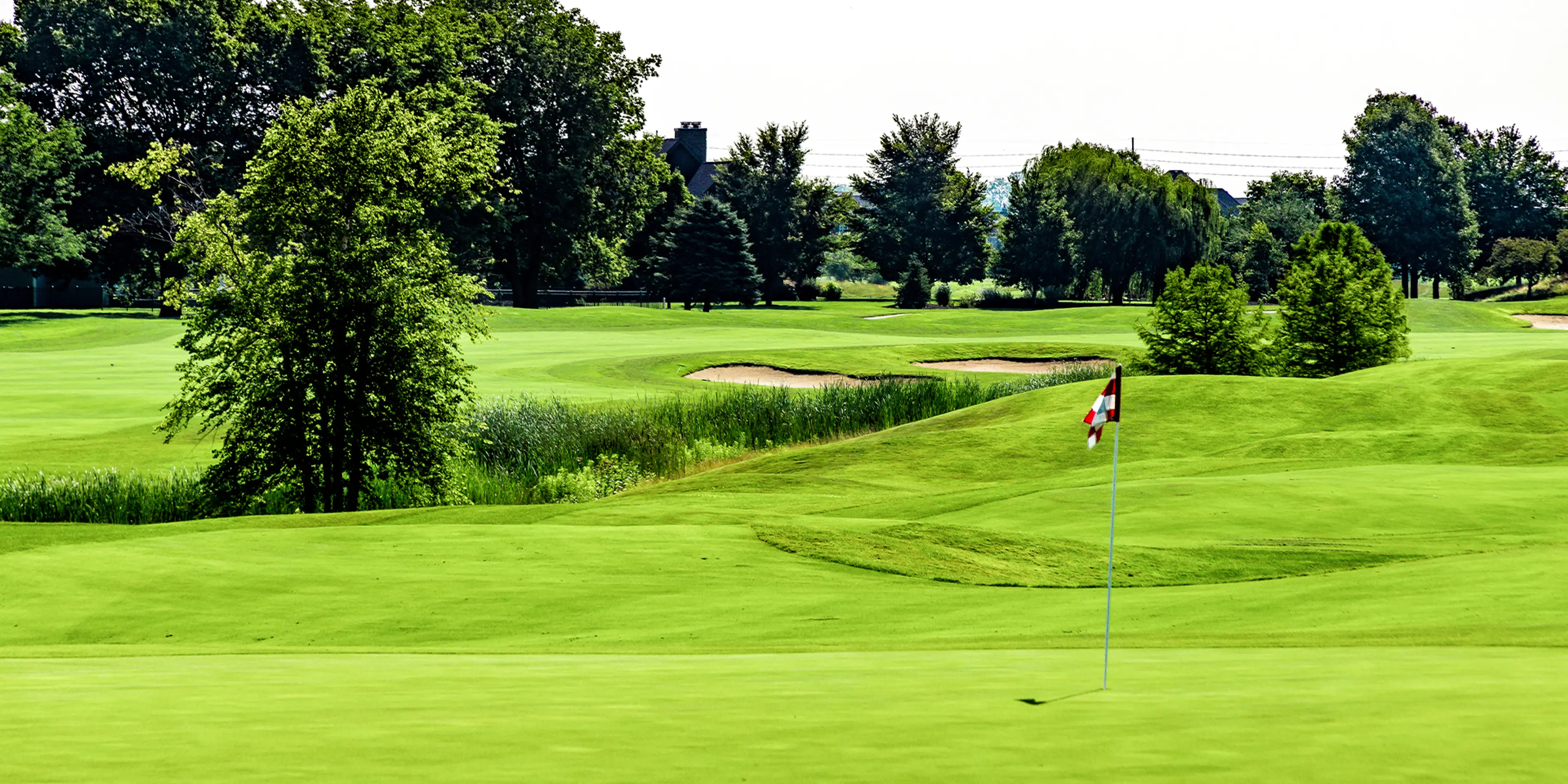 Landscape putting greens and fairway photo of the Atkins Golf Club golf course