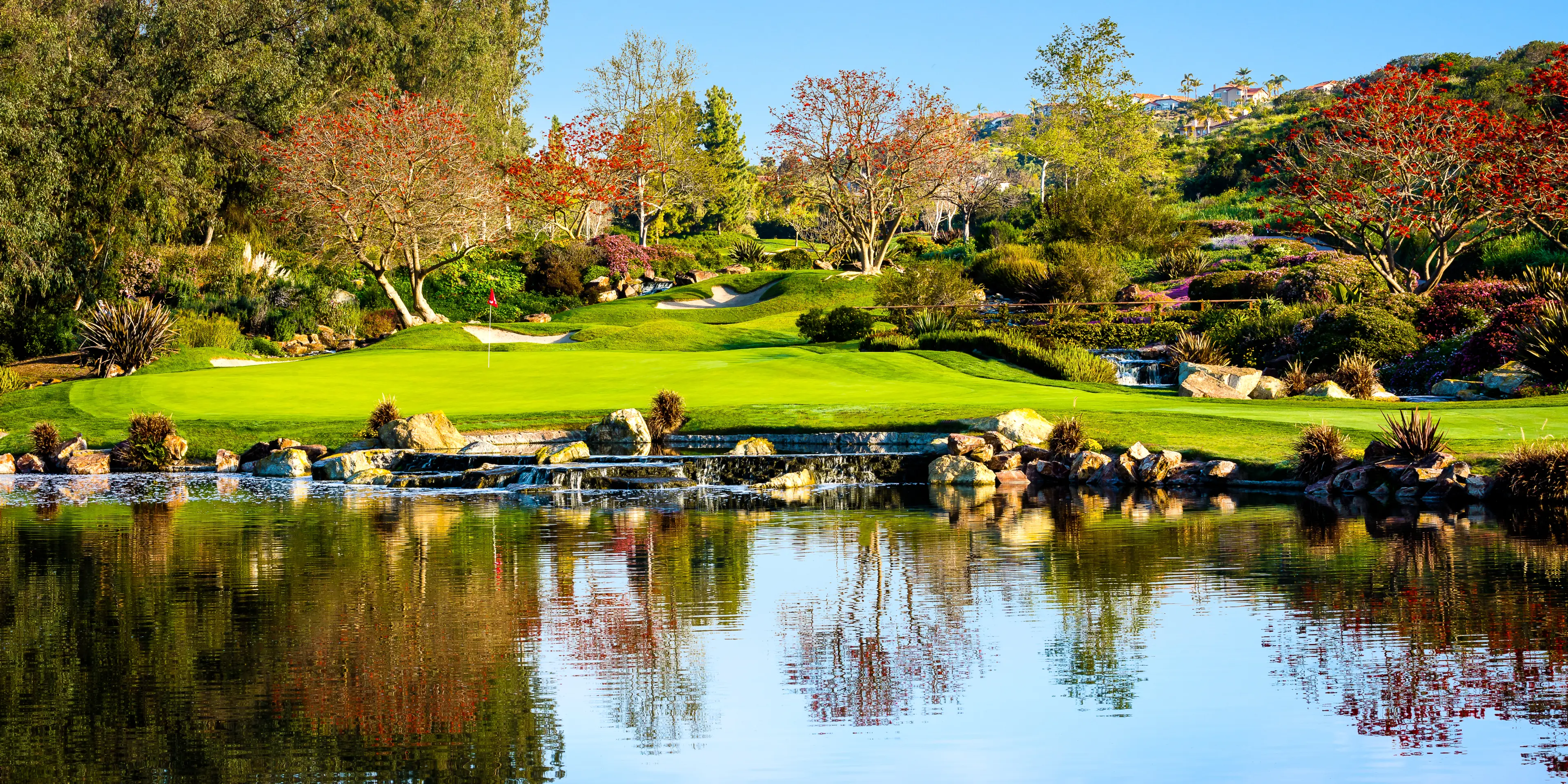 Landscape putting greens and fairway photo of the Aviara Golf Club golf course