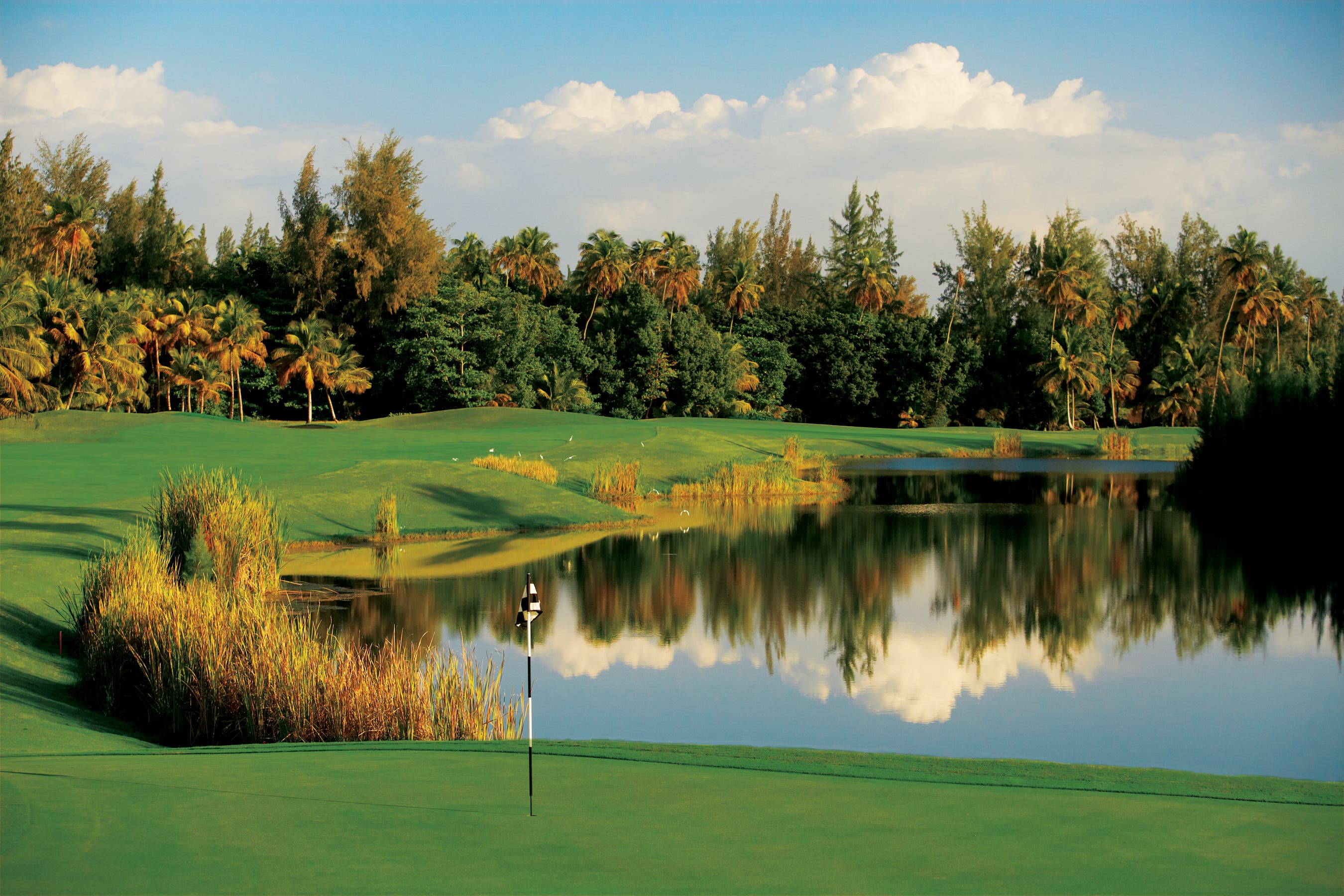 Landscape putting greens and fairway photo of the Bahia Beach Resort & Golf Club golf course