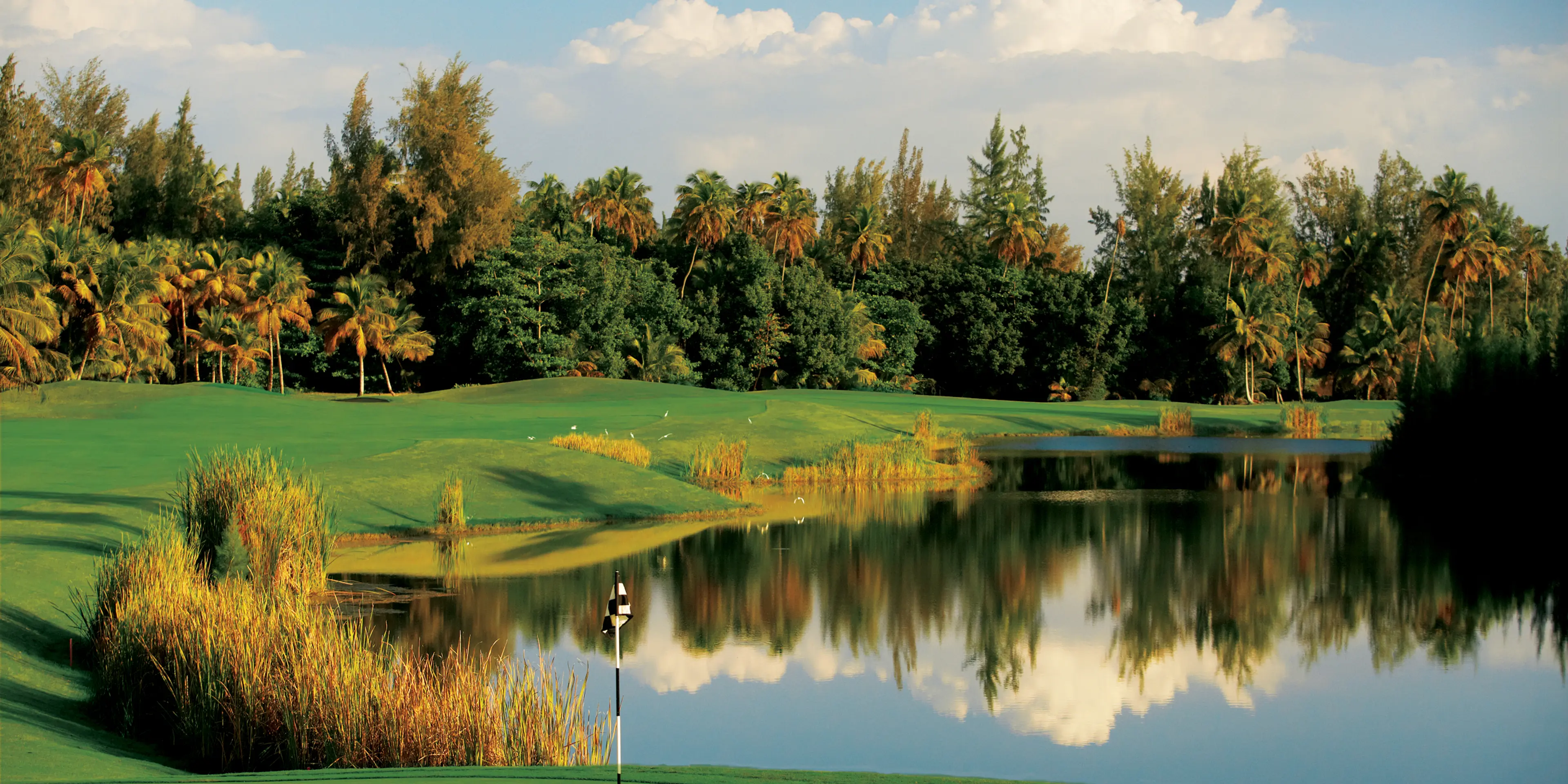 Landscape putting greens and fairway photo of the Bahia Beach Resort & Golf Club golf course