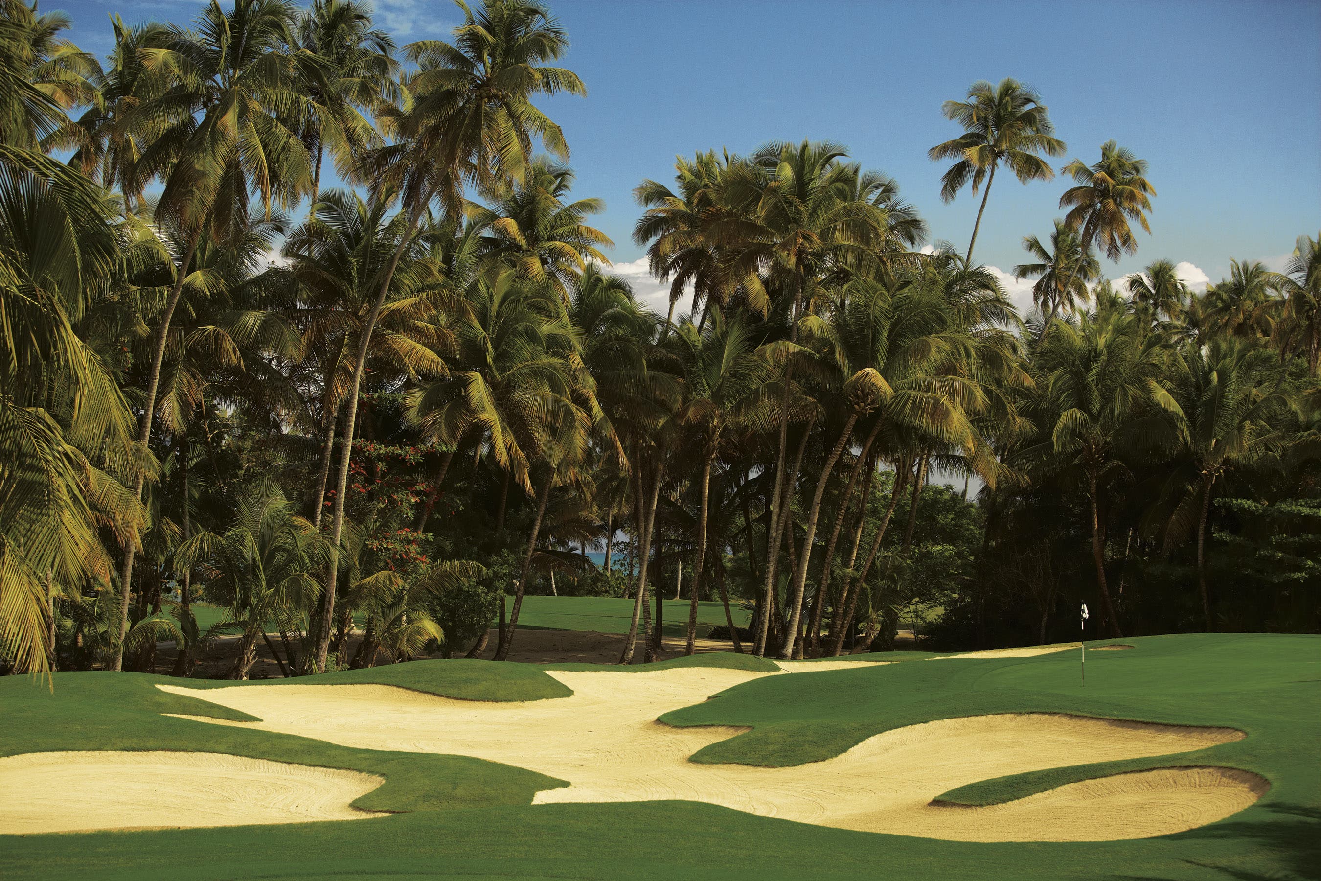 Landscape putting greens and fairway photo of the Bahia Beach Resort & Golf Club golf course