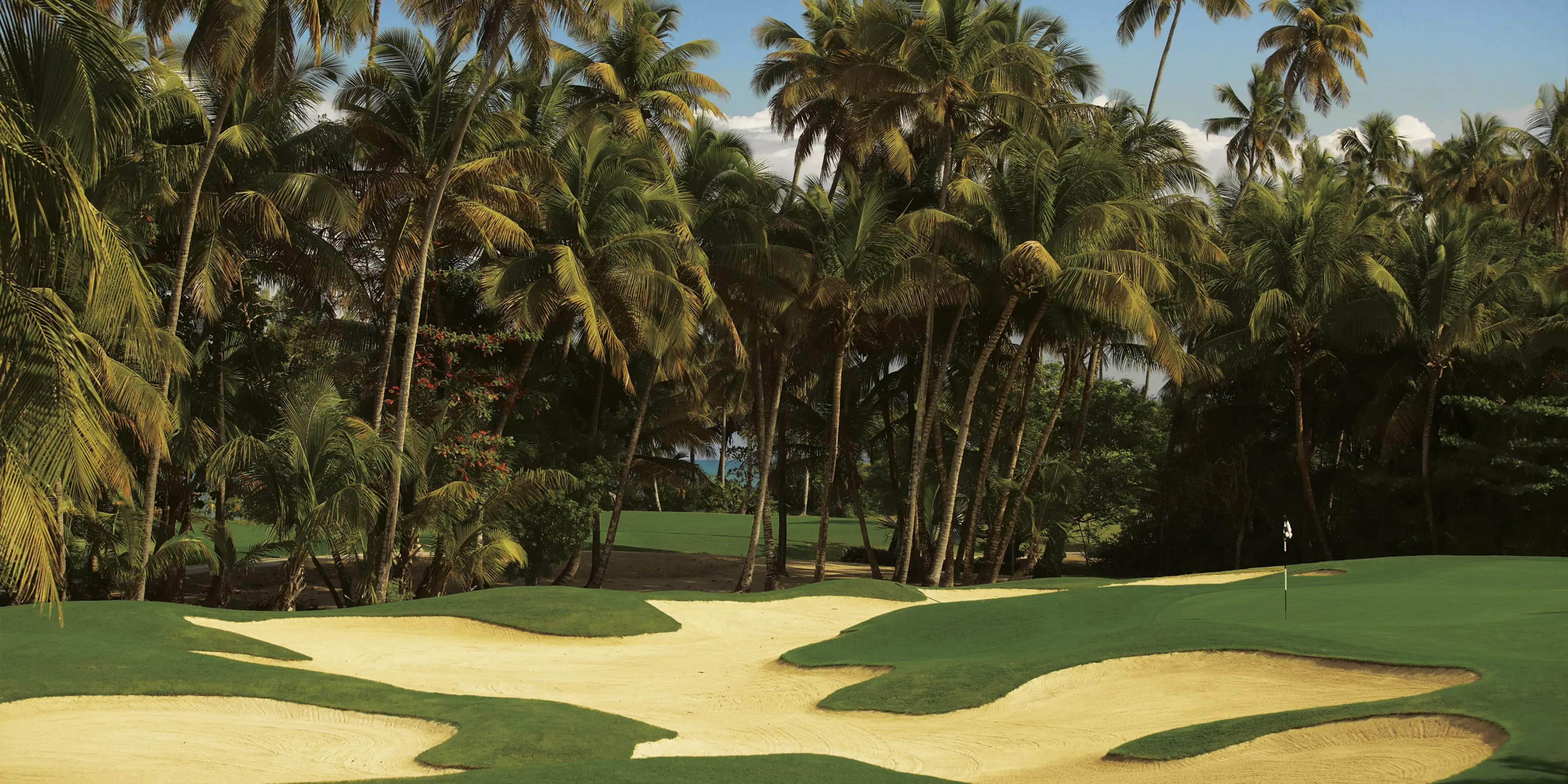 Landscape putting greens and fairway photo of the Bahia Beach Resort & Golf Club golf course