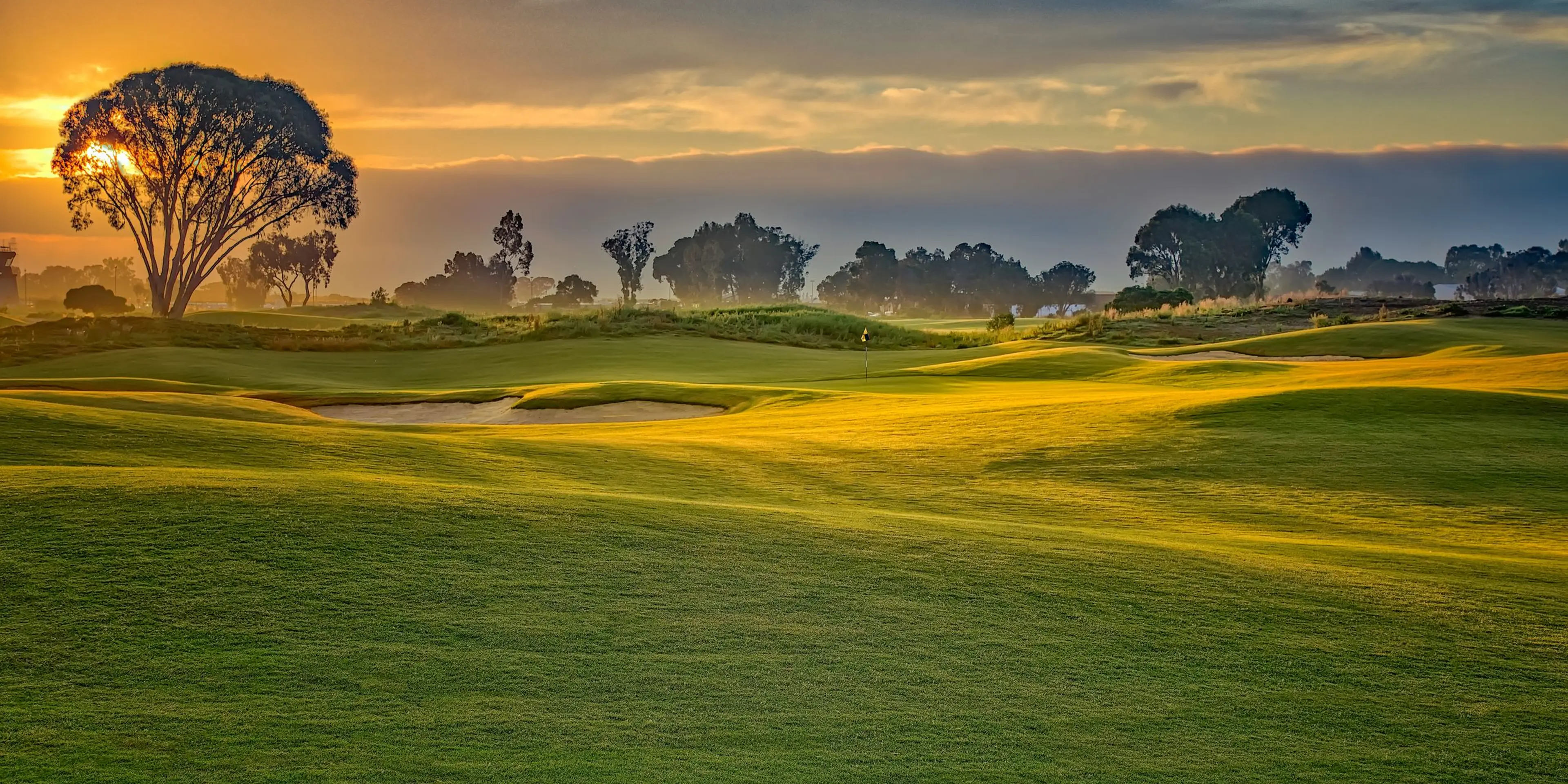 Landscape putting greens and fairway photo of the Baylands Golf Links golf course