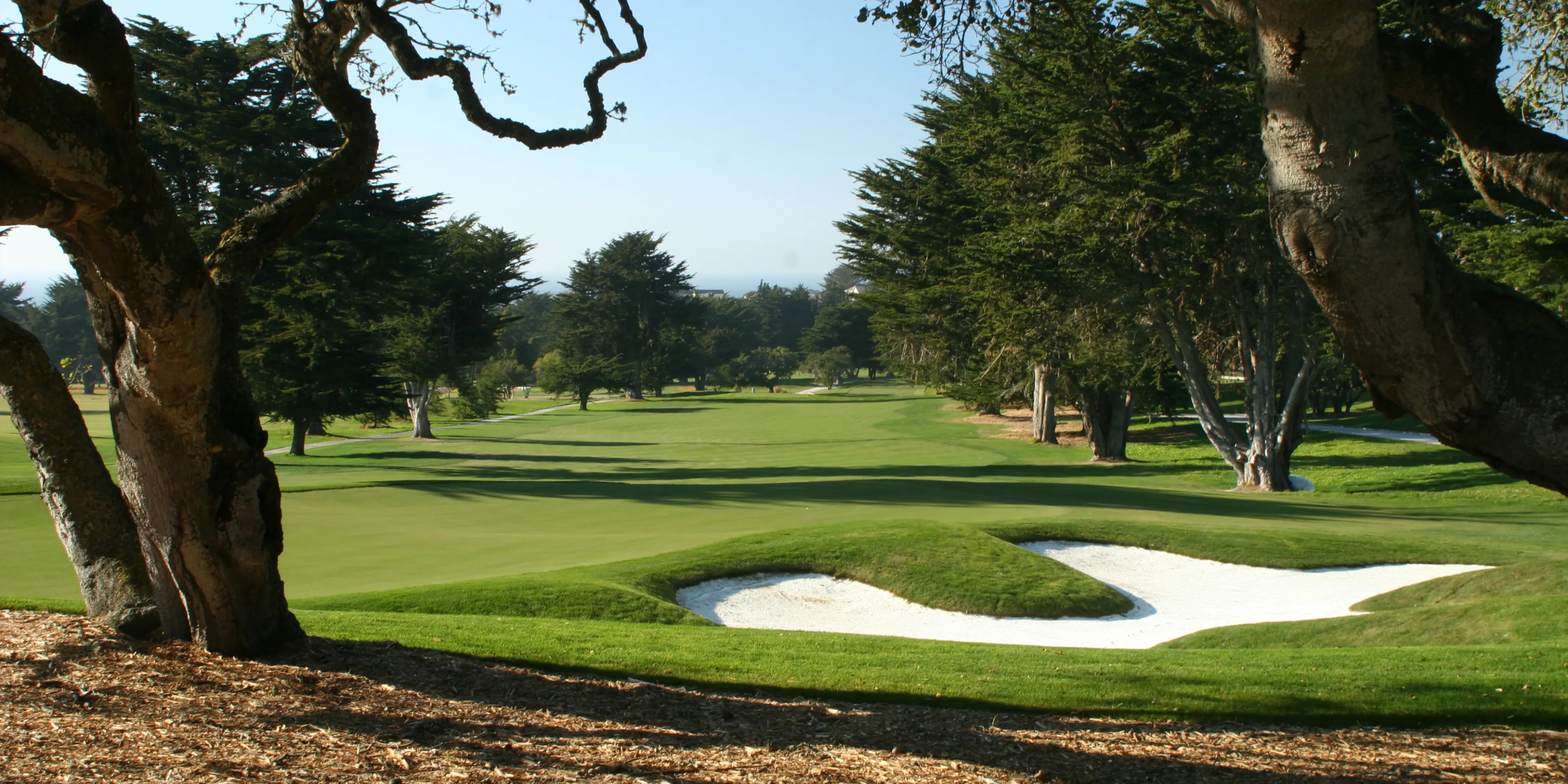 Landscape putting greens and fairway photo of the Bayonet and Black Horse golf course