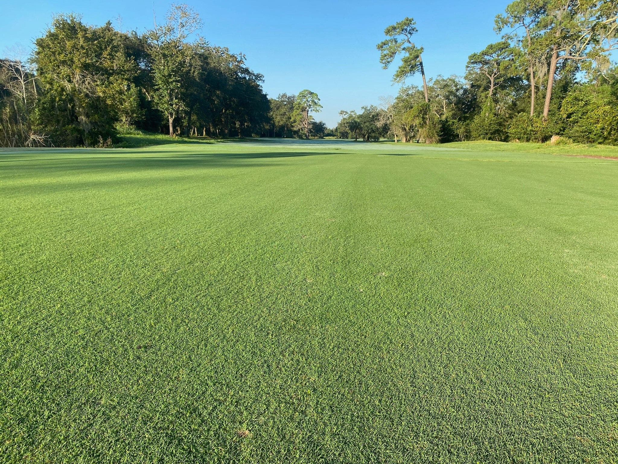 Blue Cypress Golf Club | Golf with Access | Book tee times