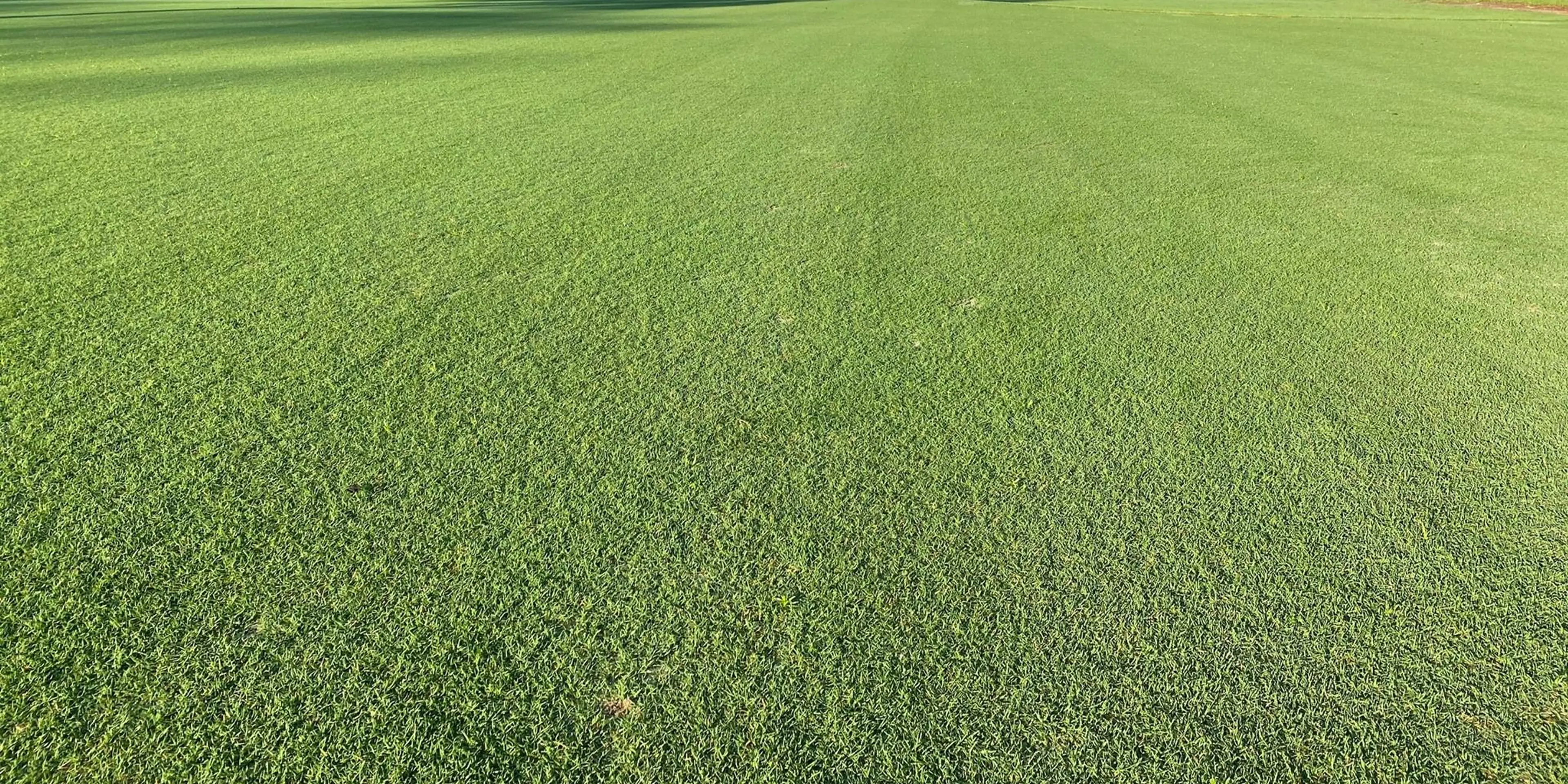 Landscape putting greens and fairway photo of the Blue Cypress Golf Club golf course