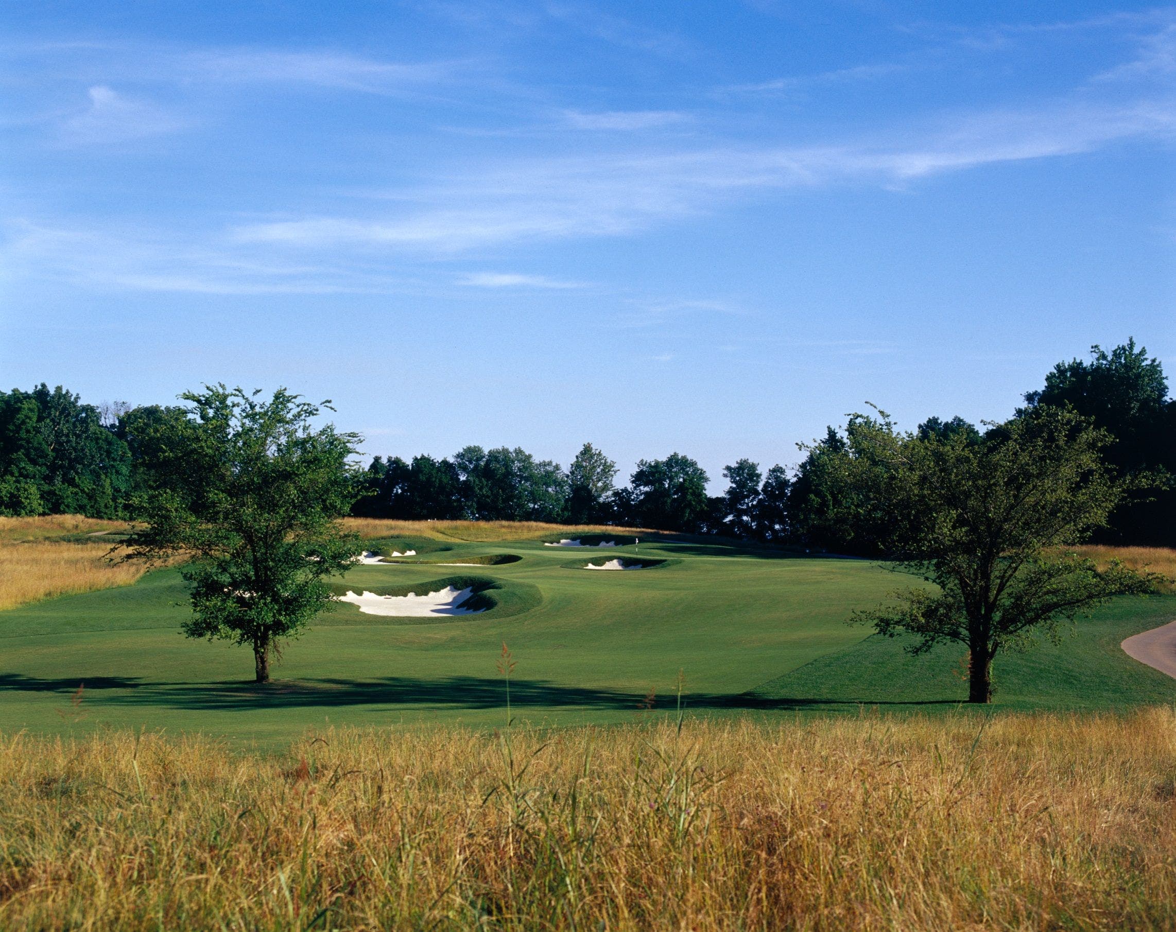 Course photo for Dalhousie Golf Club