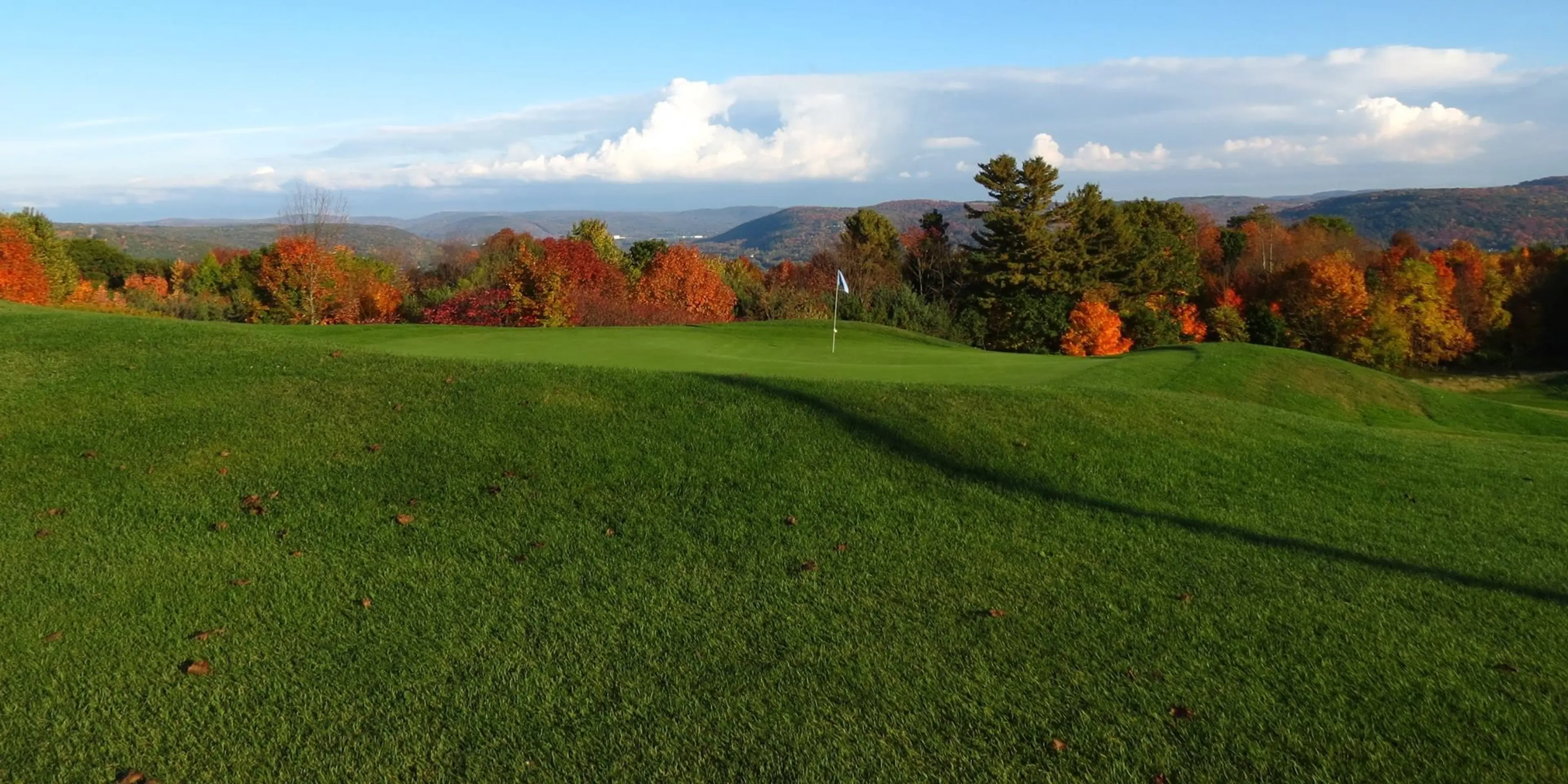 Landscape putting greens and fairway photo of the Ely Park Golf Course golf course