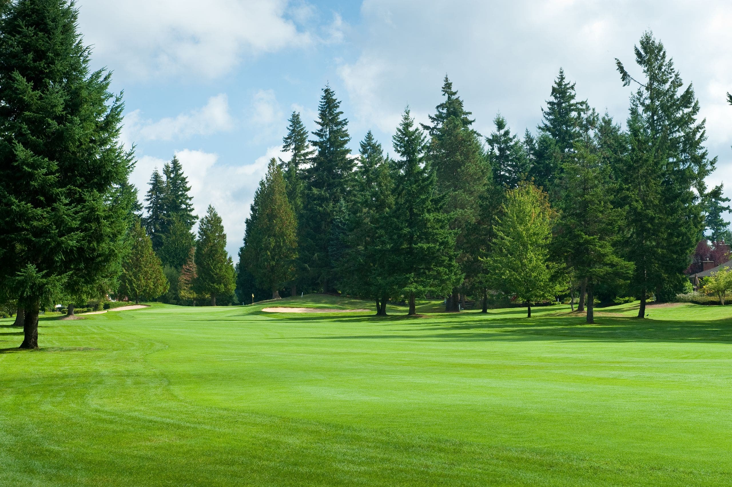 Fairwood Golf Country Club Troon Rewards Book tee times