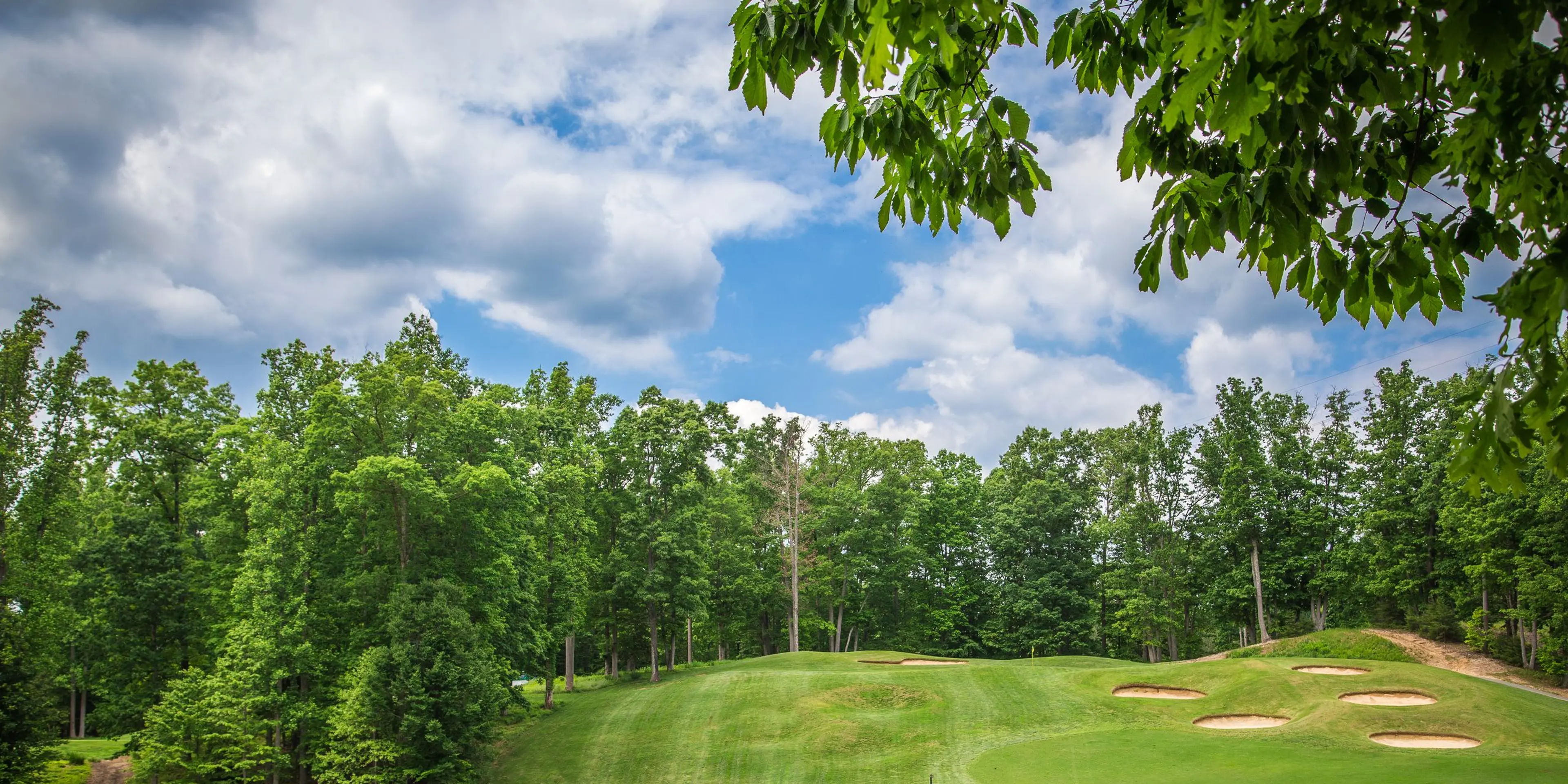 Landscape putting greens and fairway photo of the Forest Greens Golf Club golf course