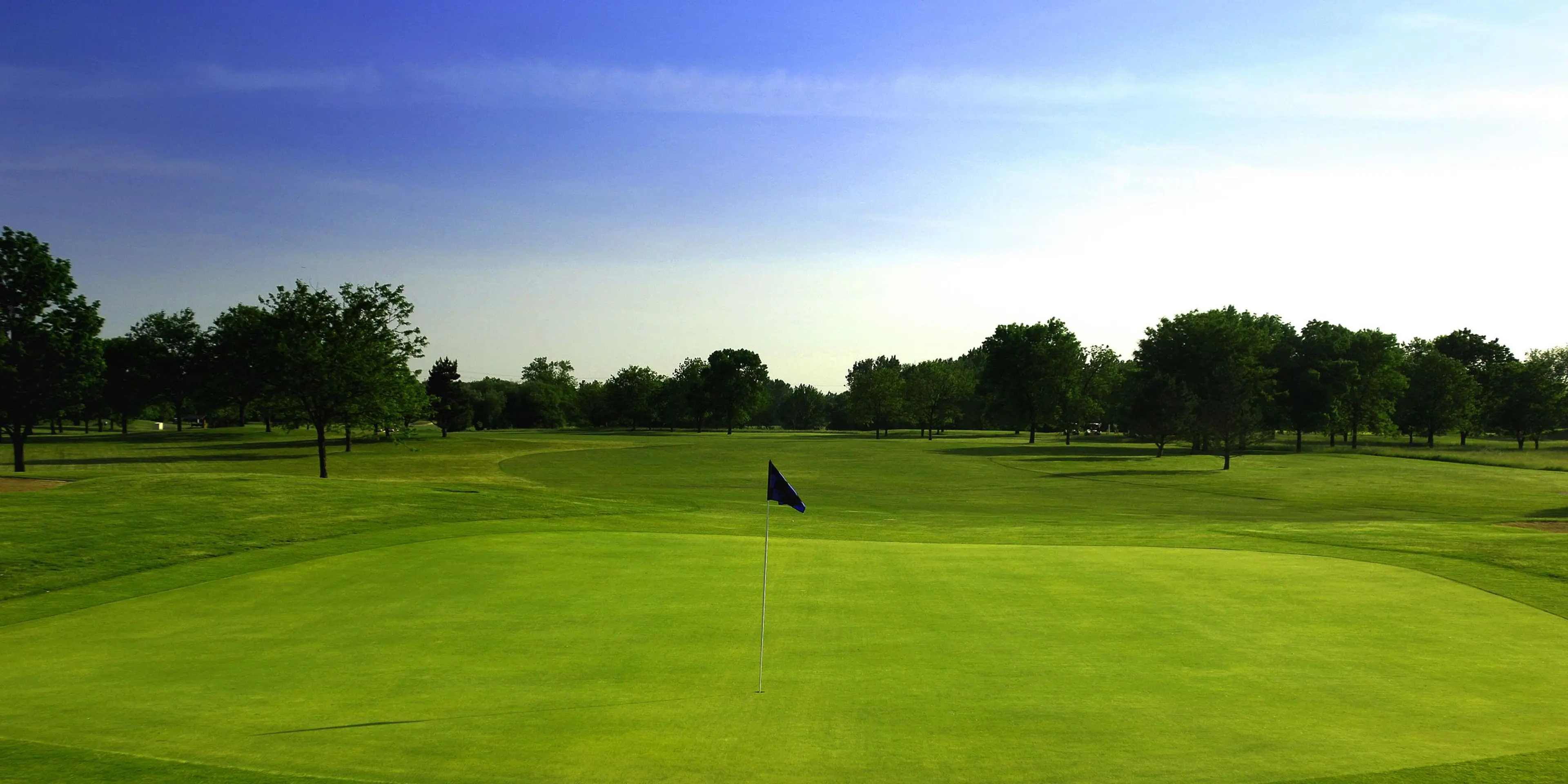 Landscape putting greens and fairway photo of the Forest Preserve Golf golf course