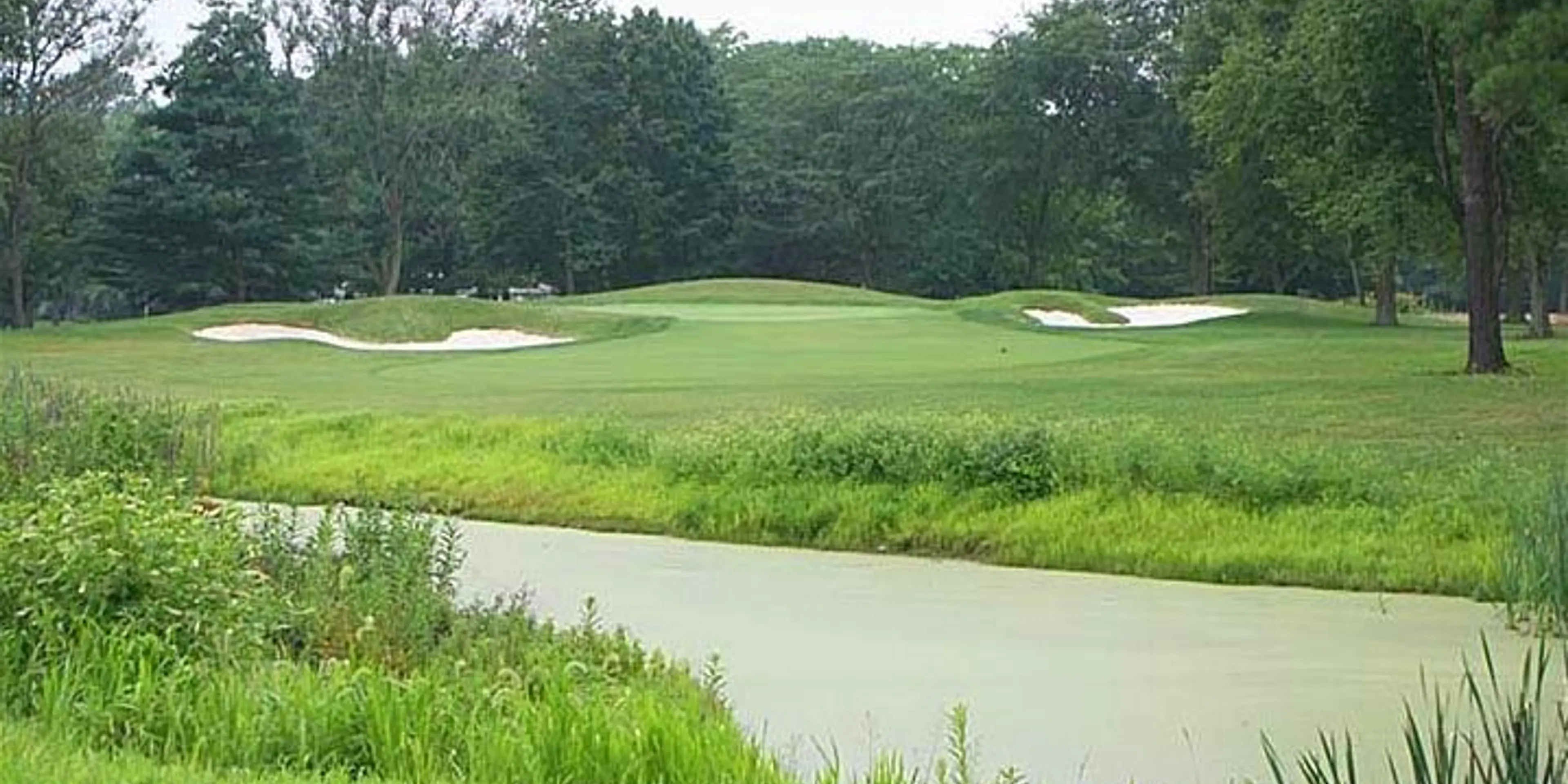 Landscape putting greens and fairway photo of the Garrisons Lake Golf Club golf course