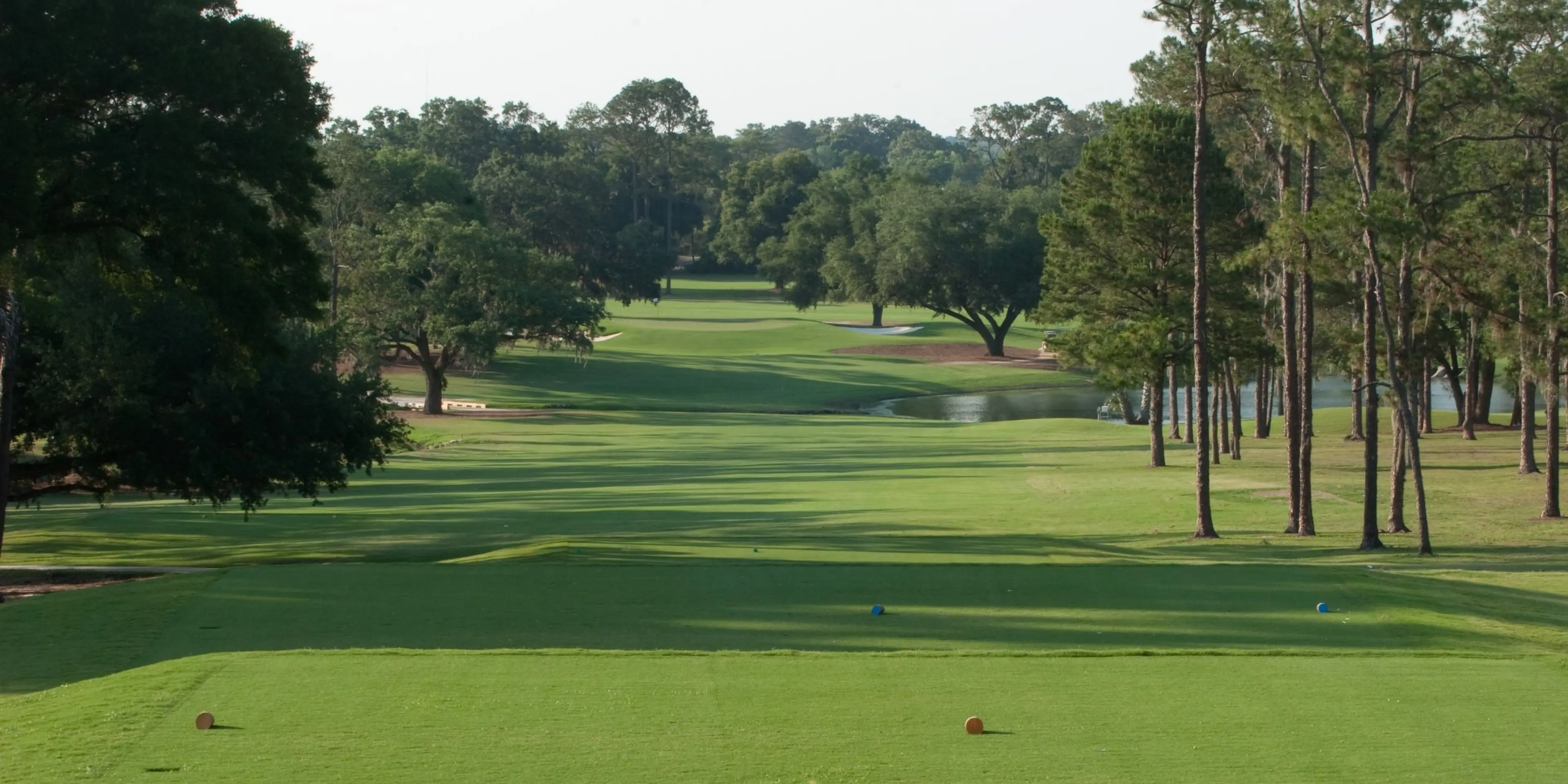Landscape putting greens and fairway photo of the Ocala Golf Club golf course