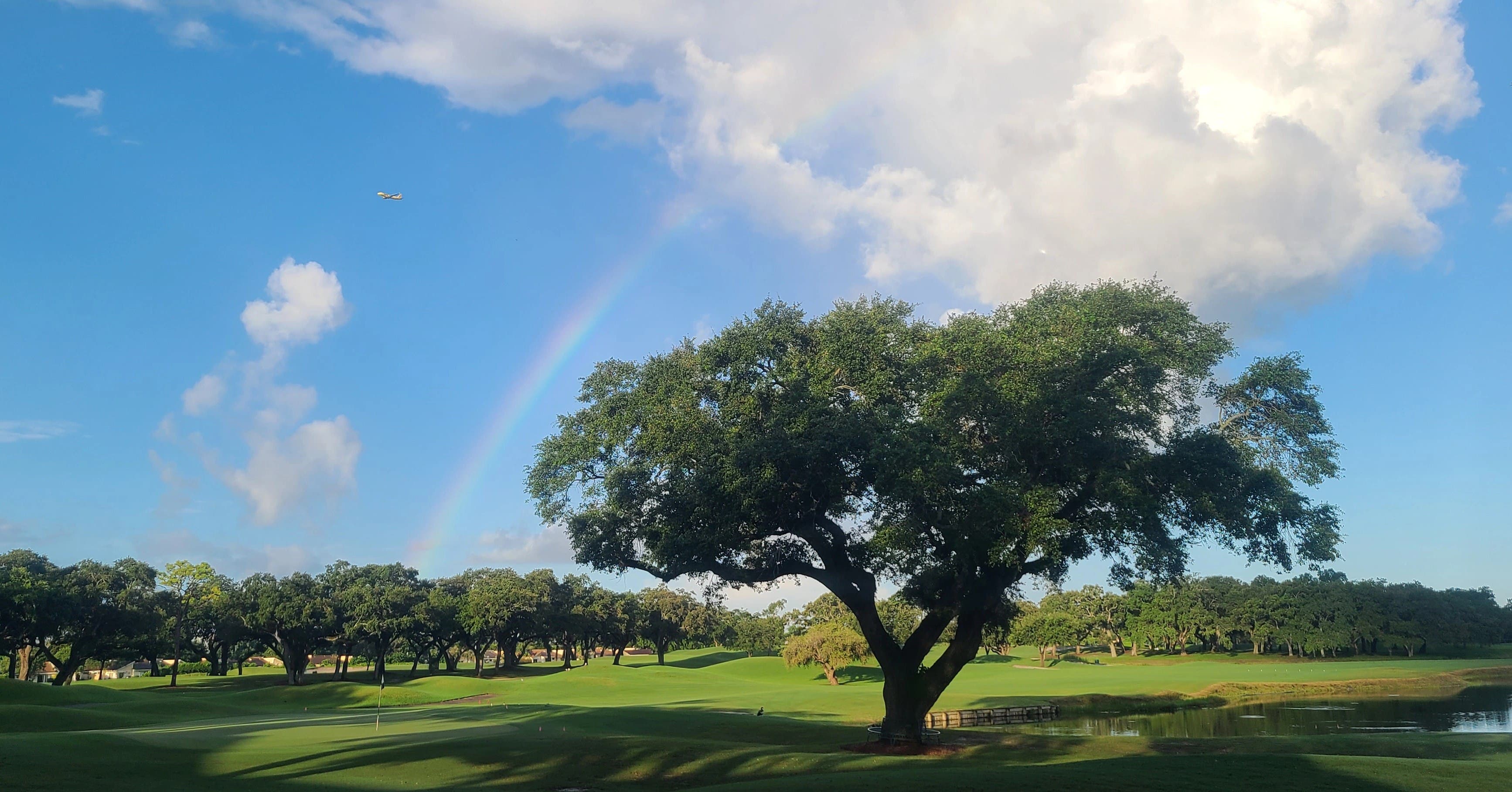Course photo for Grande Oaks Golf Club