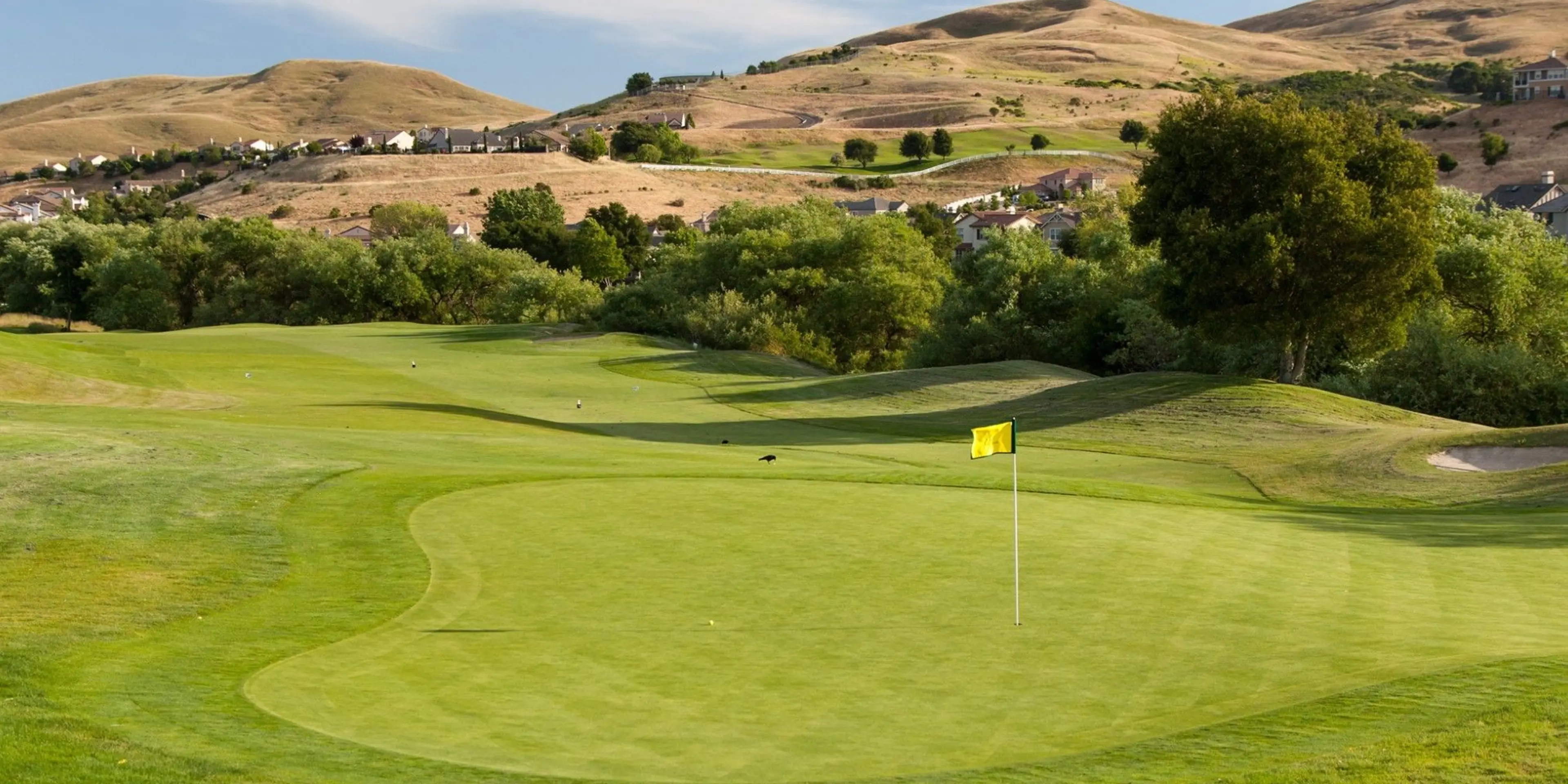 Landscape putting greens and fairway photo of the Hiddenbrooke Golf Club golf course
