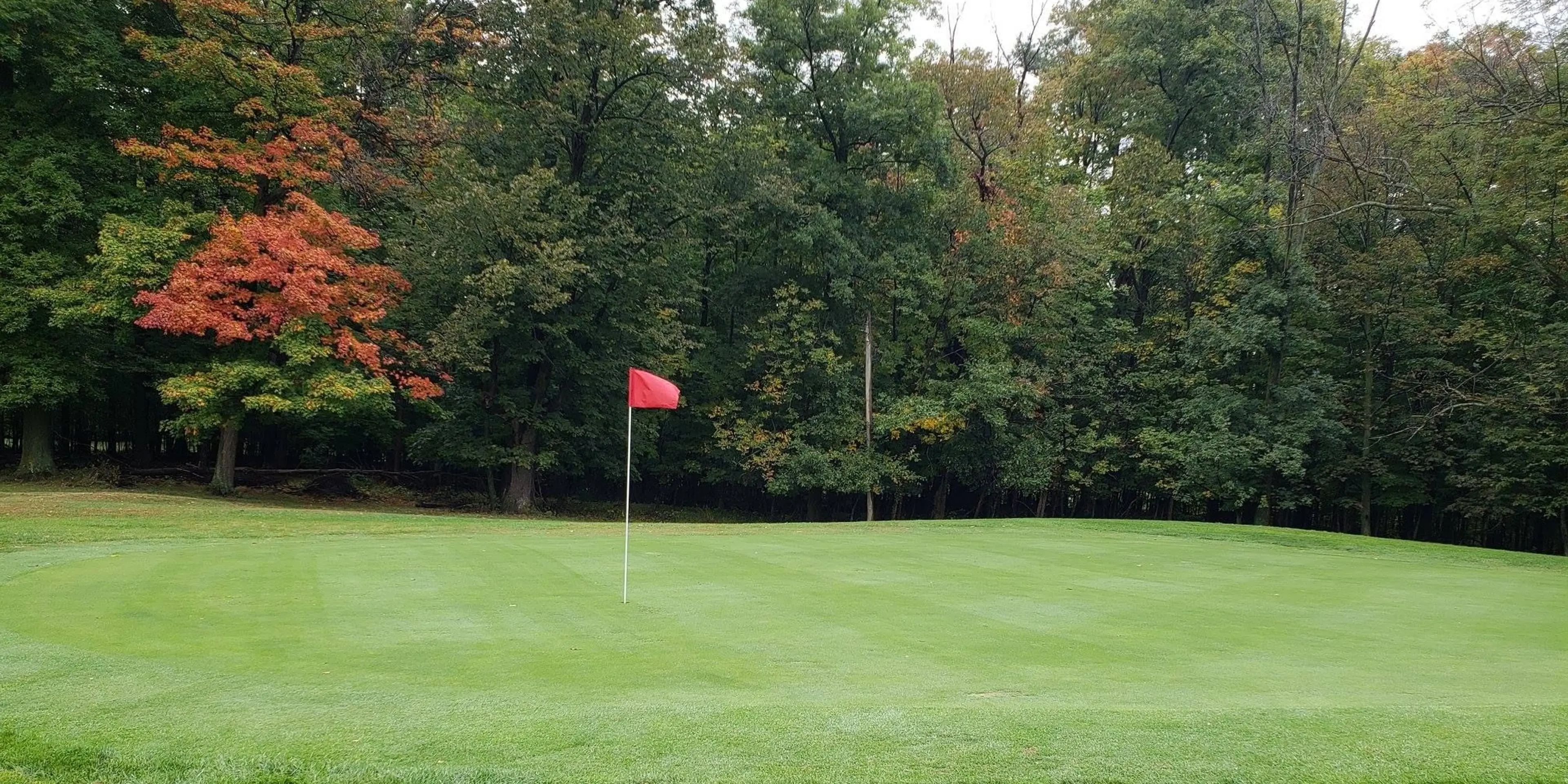 Landscape putting greens and fairway photo of the Highland Park Golf Club golf course