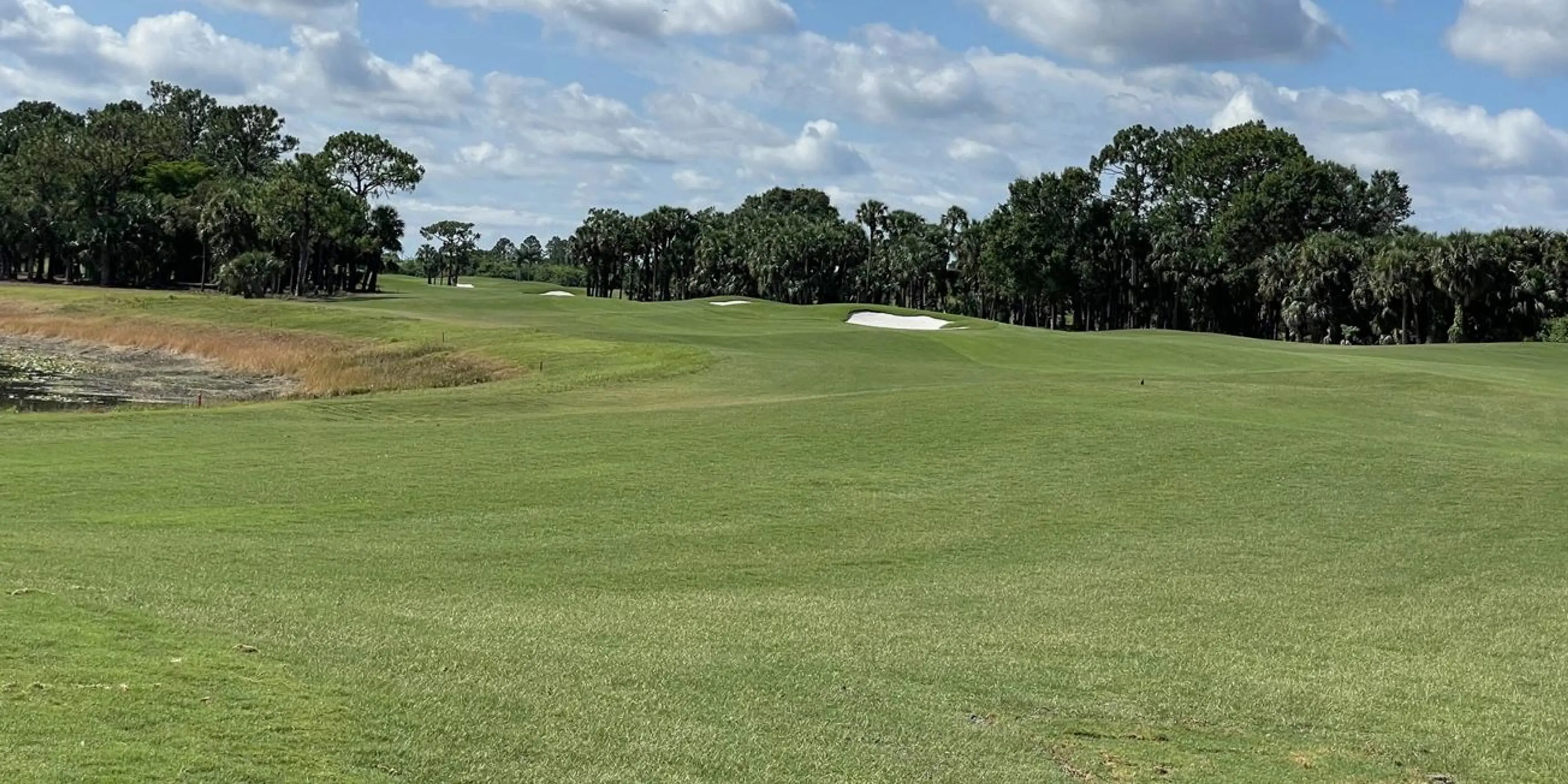 Landscape putting greens and fairway photo of the Ibis Landing Golf Club golf course