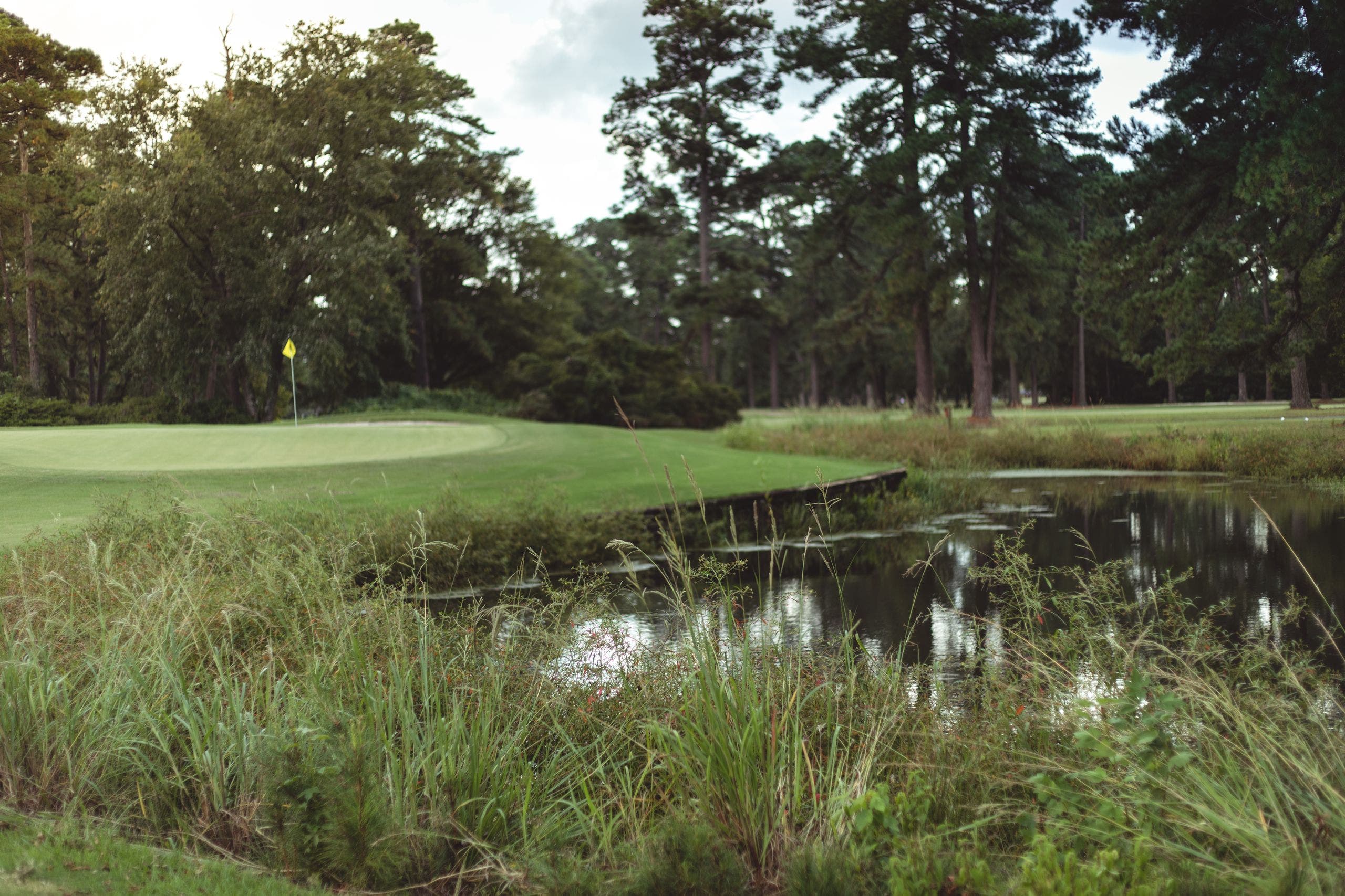 Course photo for Kinston Country Club