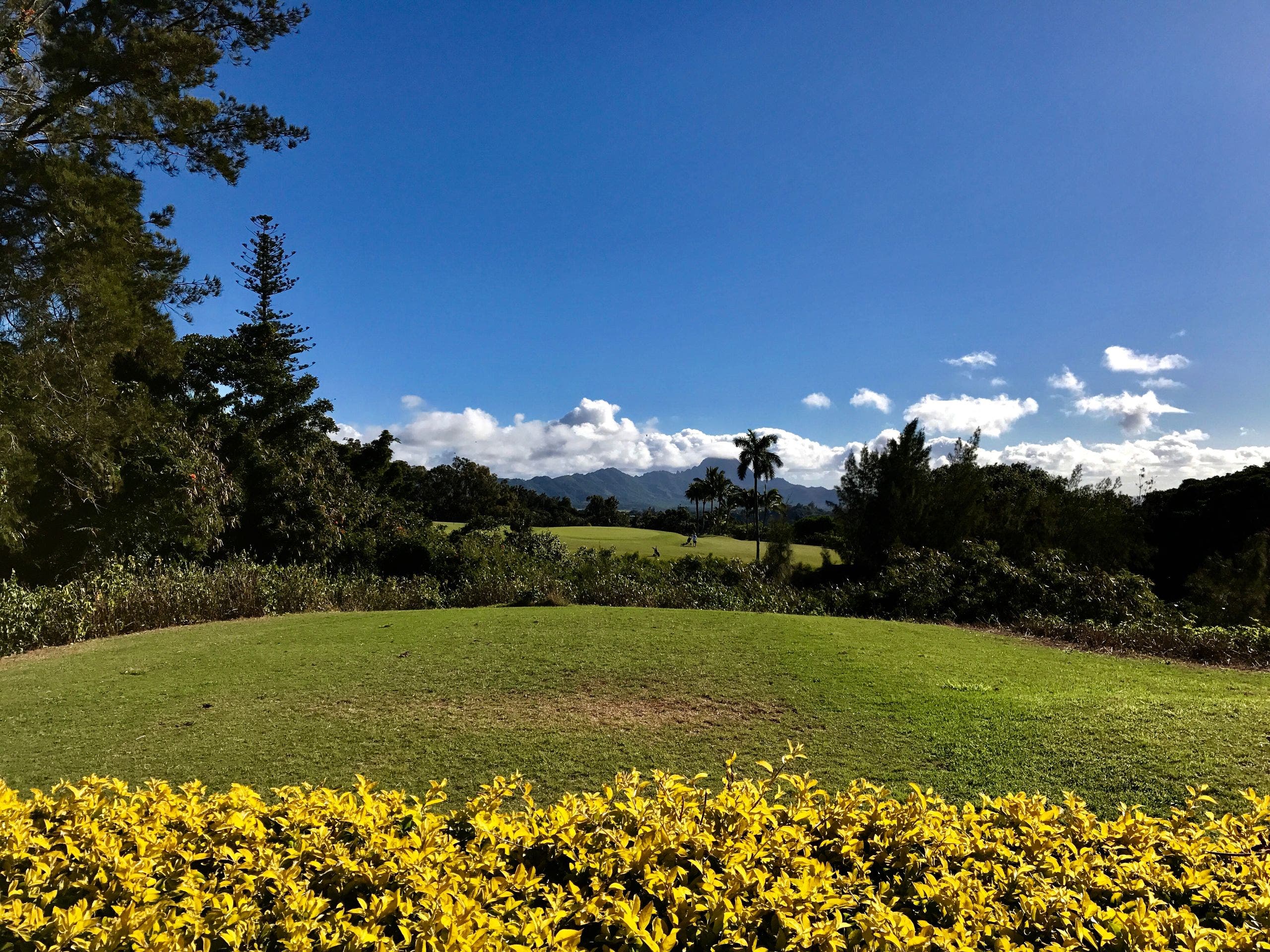Course photo for Kukuiolono Golf Course