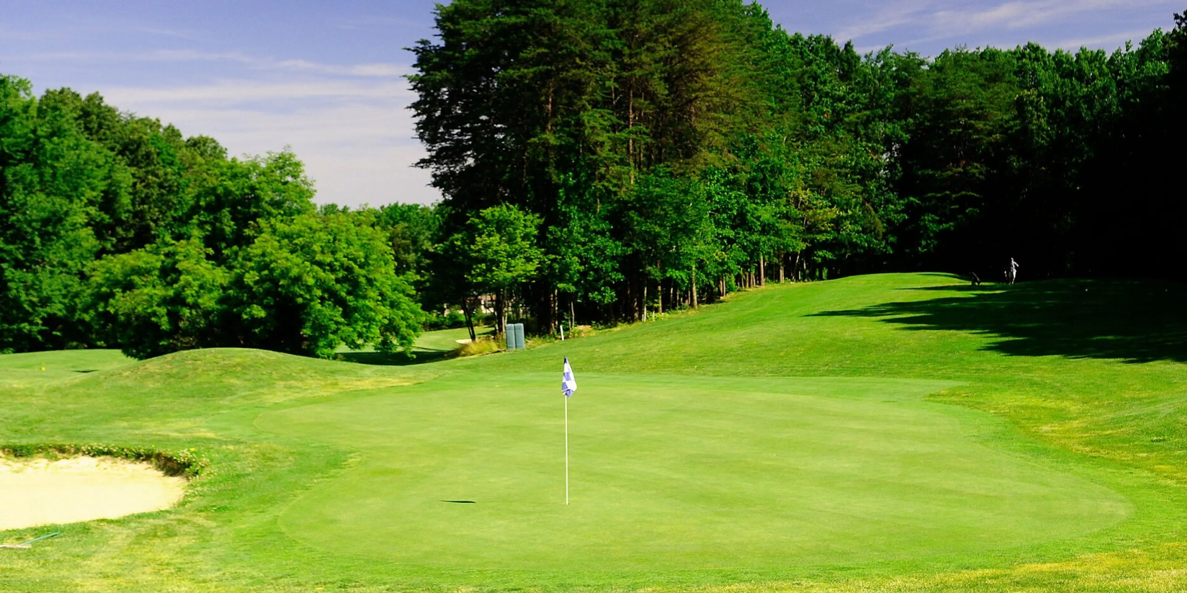 Landscape putting greens and fairway photo of the Lake Ridge Golf Course golf course