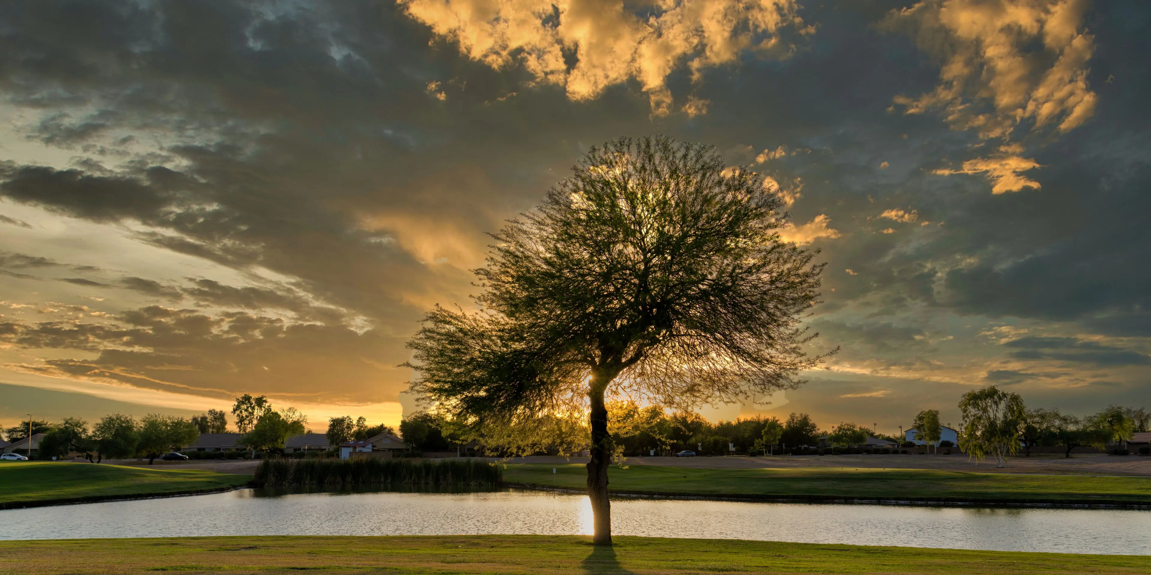 Landscape putting greens and fairway photo of the Las Colinas Golf Club golf course
