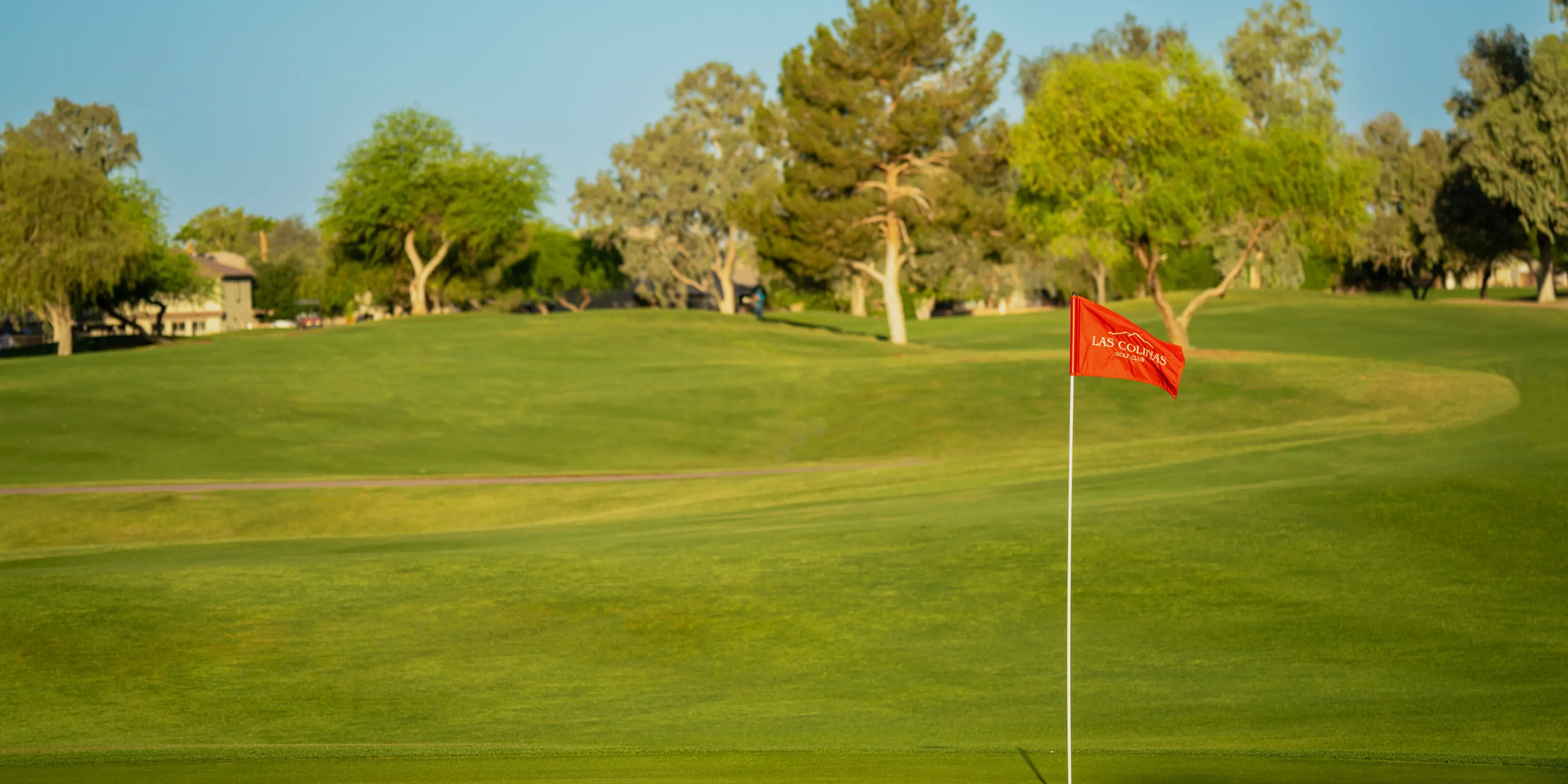 Landscape putting greens and fairway photo of the Las Colinas Golf Club golf course