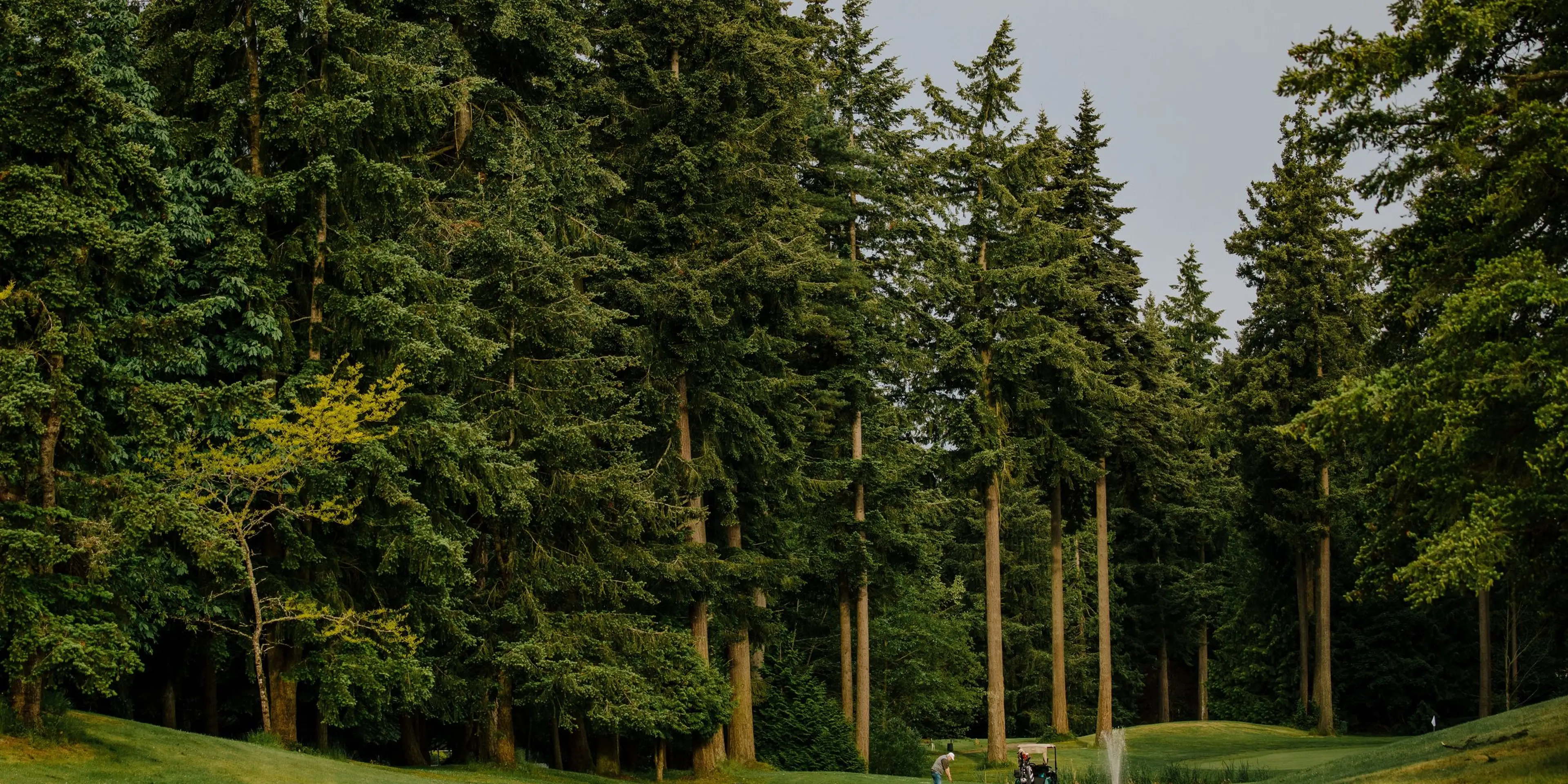 Landscape putting greens and fairway photo of the Lynnwood Golf Course golf course
