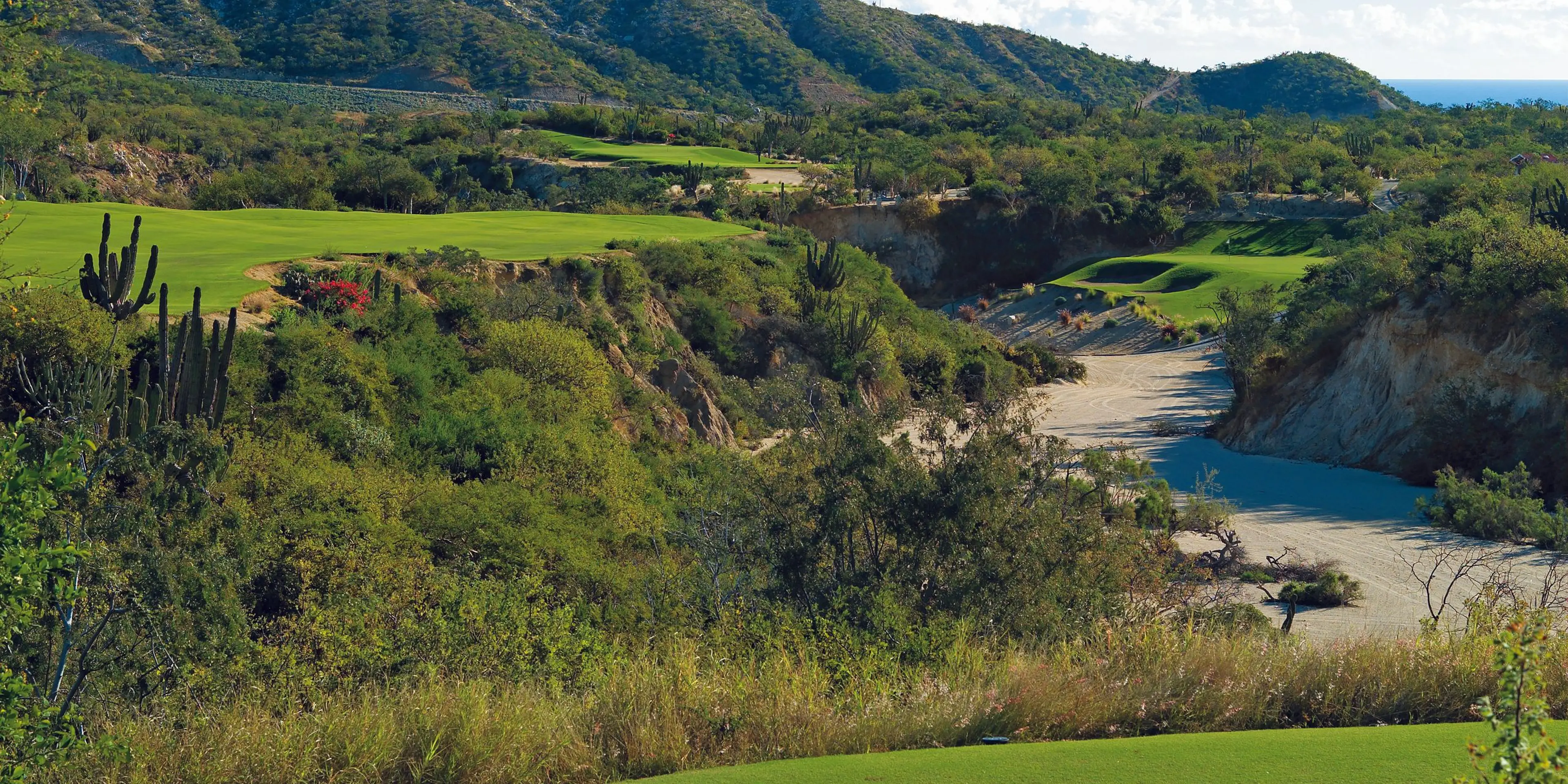Landscape putting greens and fairway photo of the Palmilla Golf Club golf course