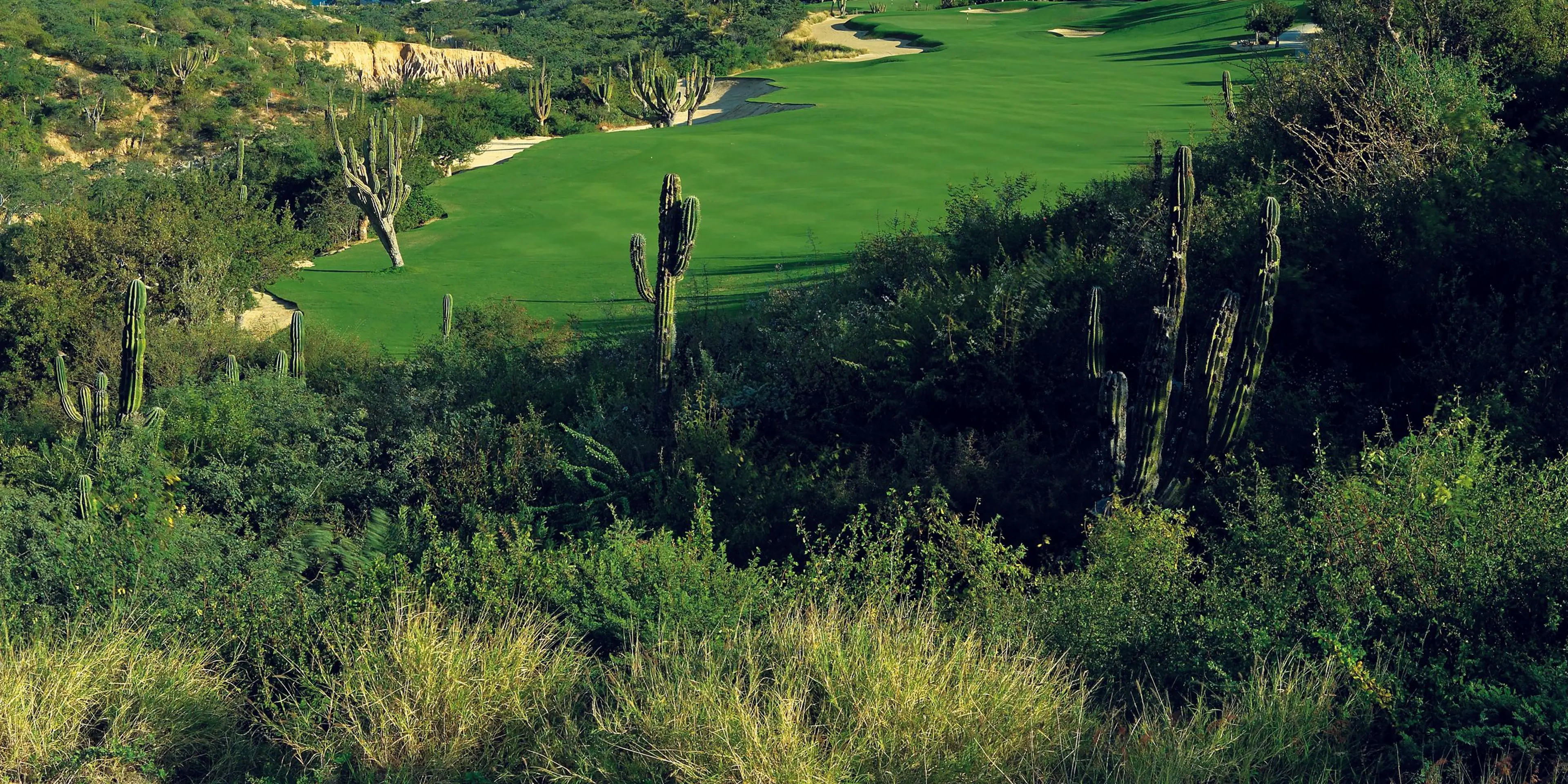 Landscape putting greens and fairway photo of the Palmilla Golf Club golf course