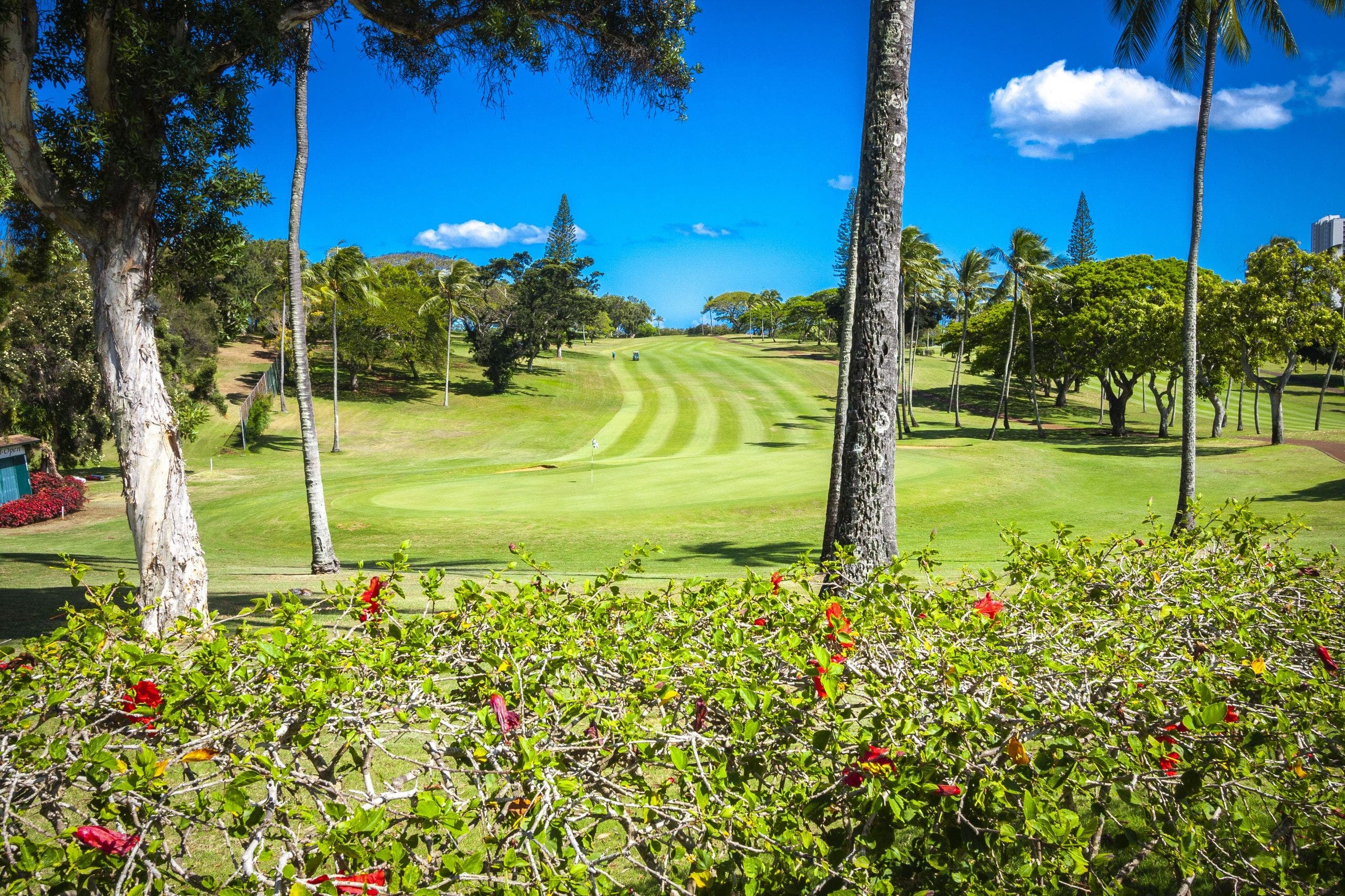 Landscape putting greens and fairway photo of the Pearl at Kalauao golf course