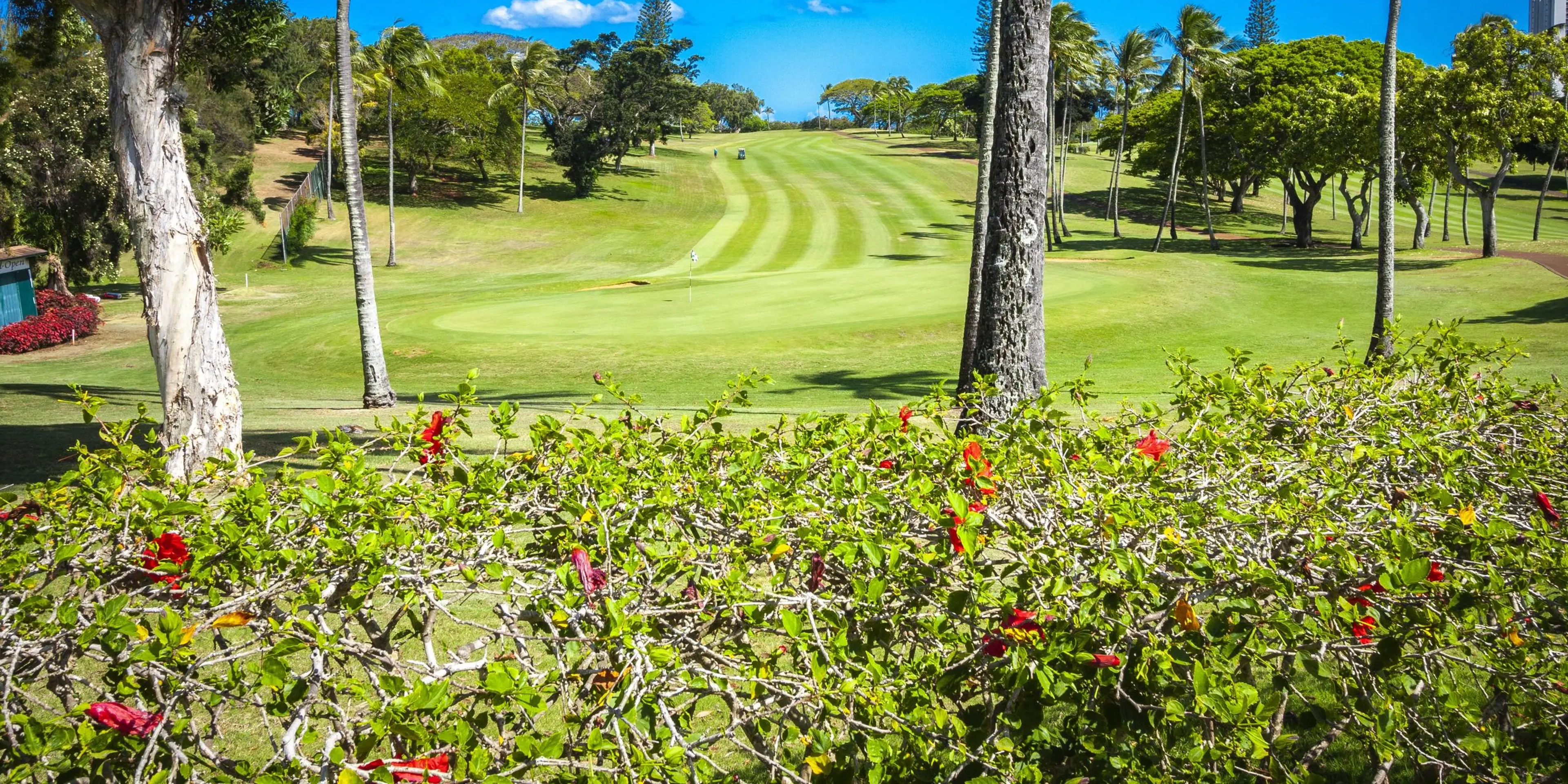 Landscape putting greens and fairway photo of the Pearl at Kalauao golf course
