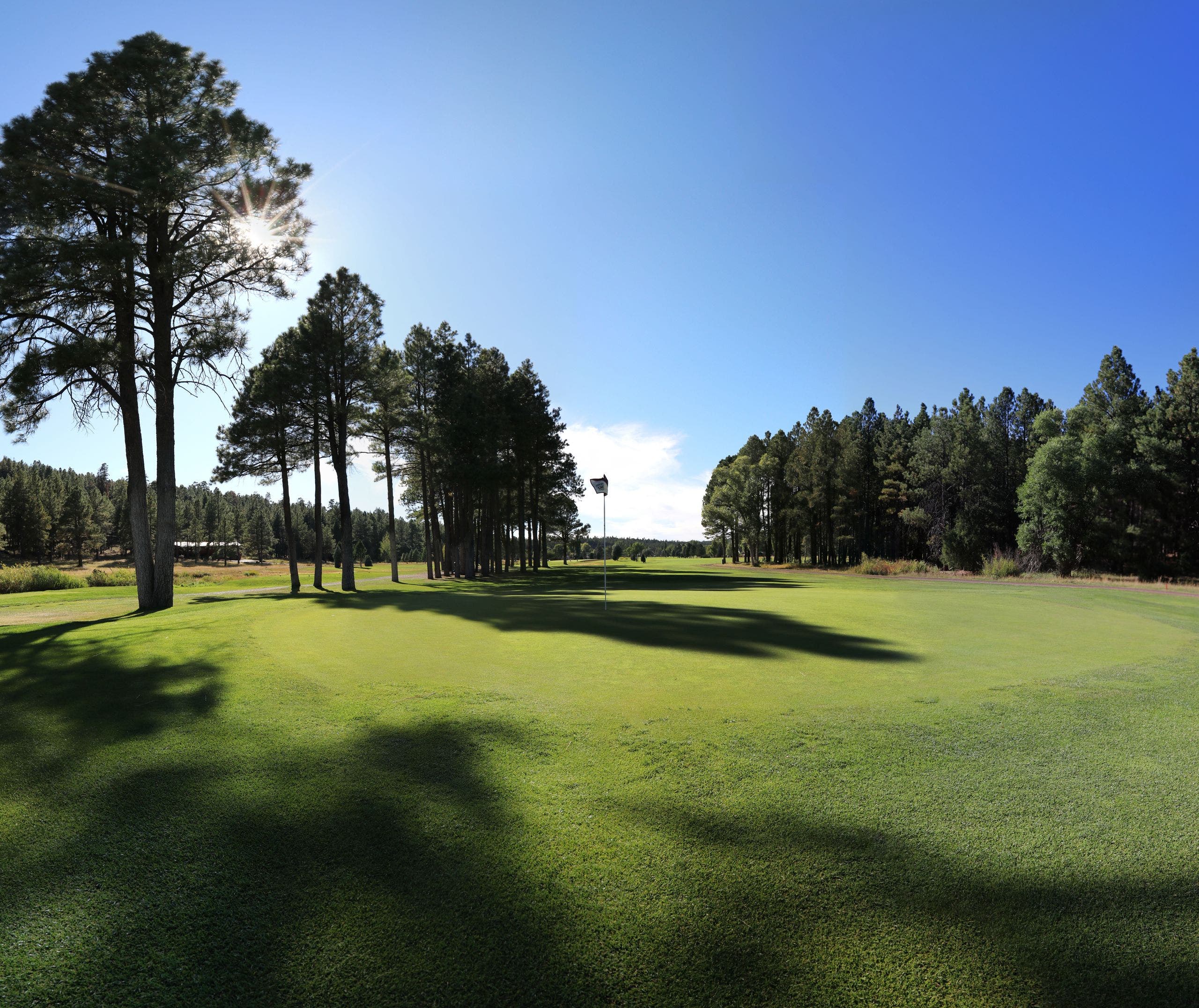 Course photo for Pinewood Country Club