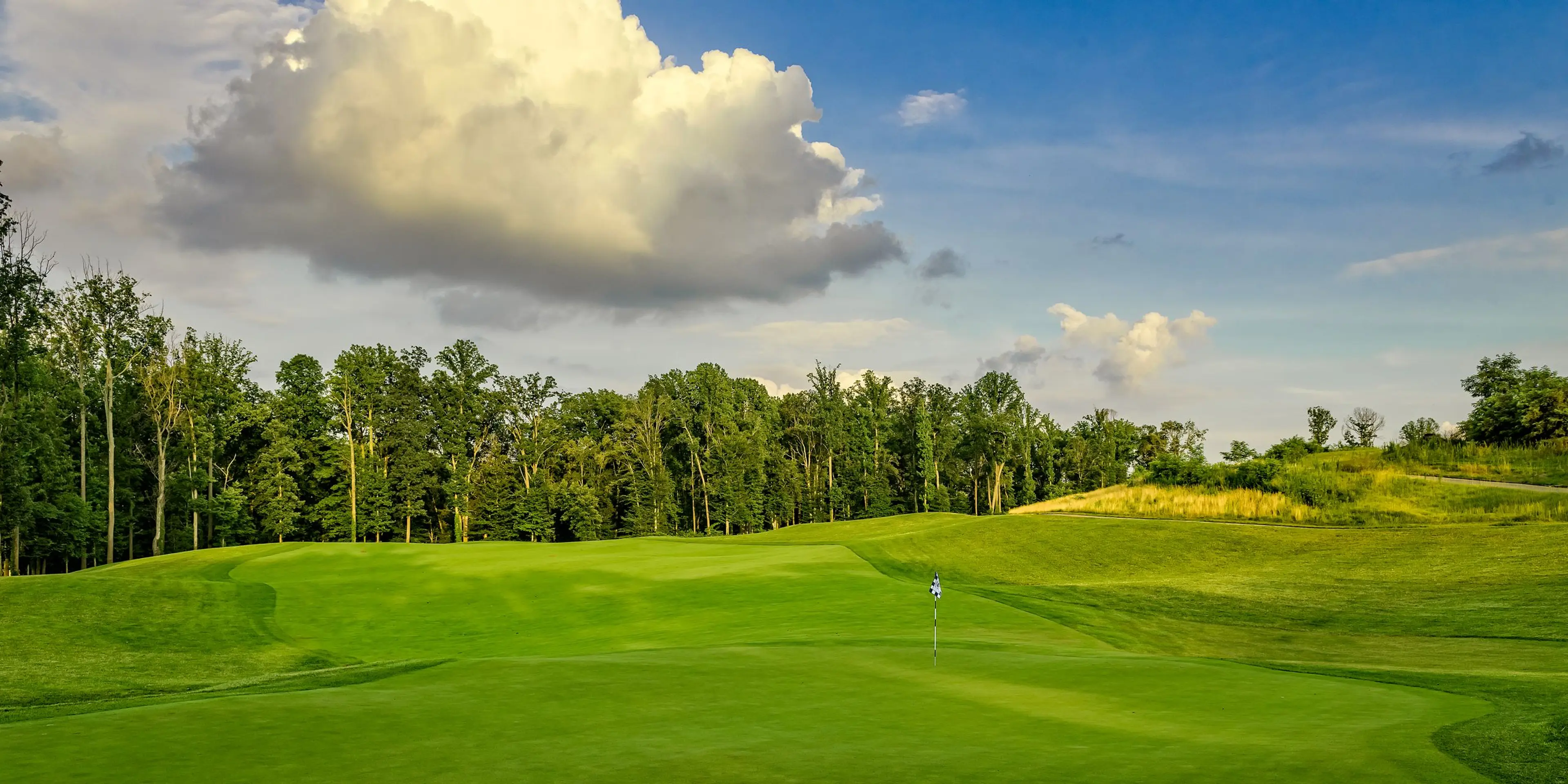 Landscape putting greens and fairway photo of the Potomac Shores Golf Club golf course