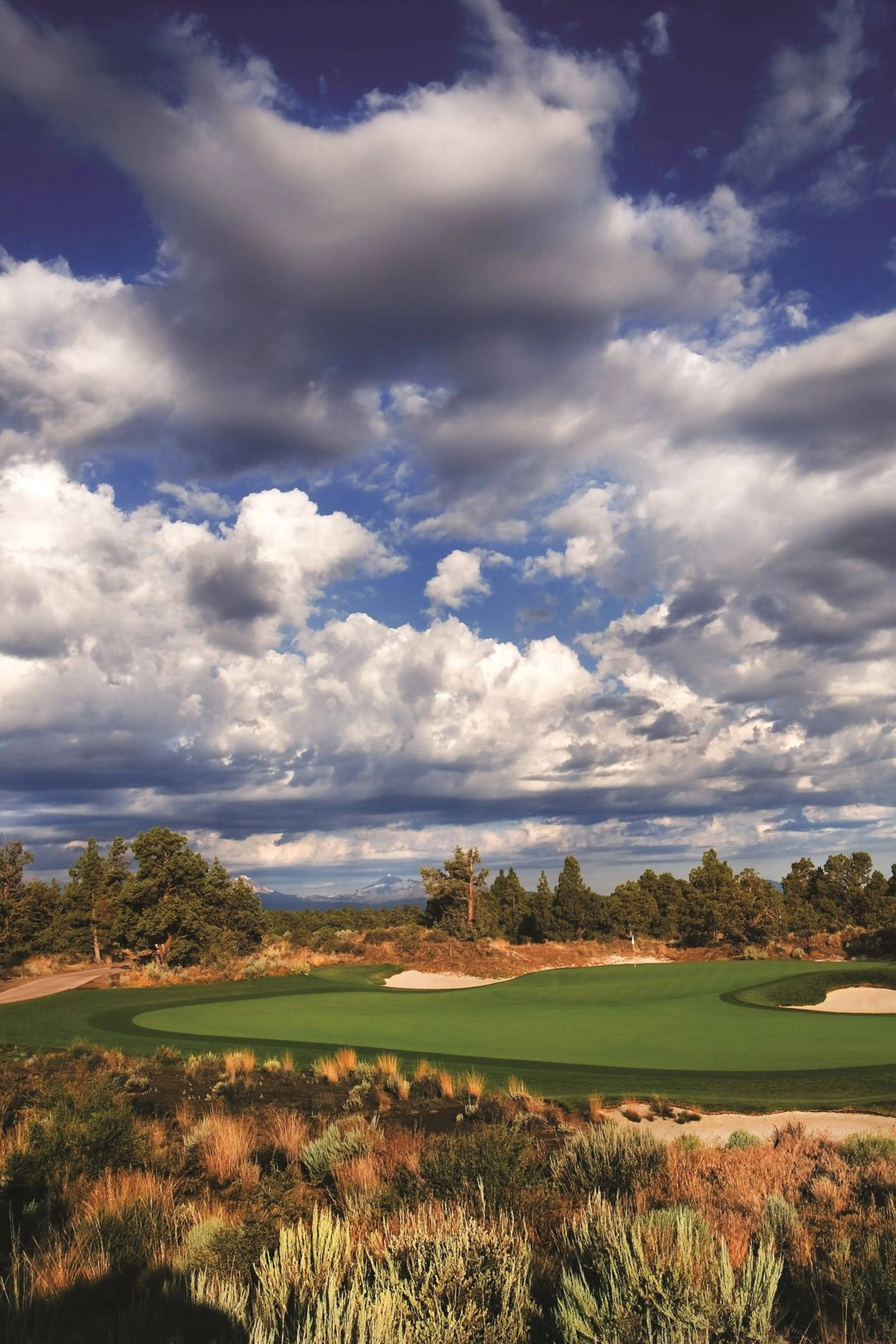 Ob Sports Golf Management