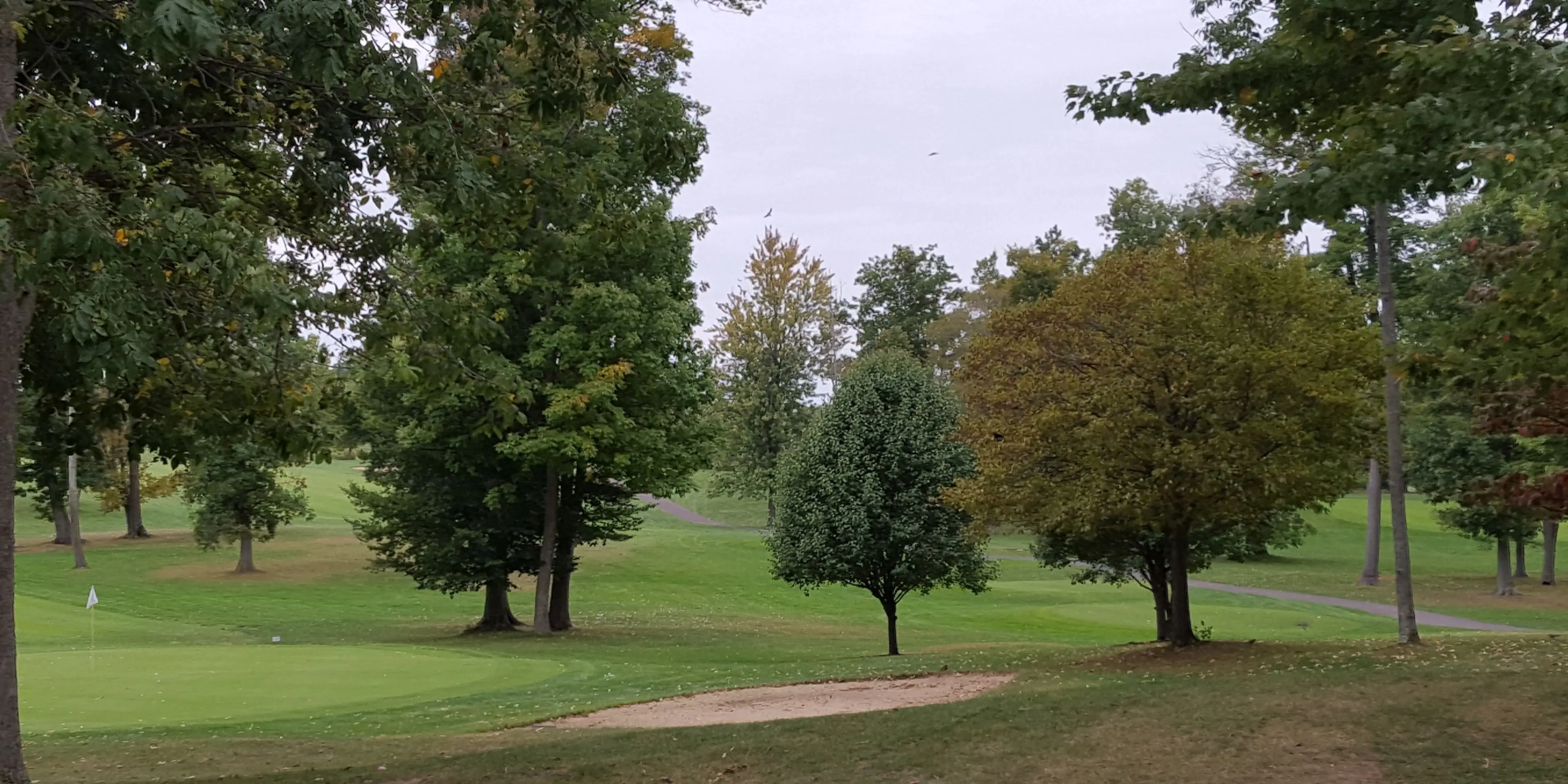 Landscape putting greens and fairway photo of the Raintree Golf and Event Center golf course