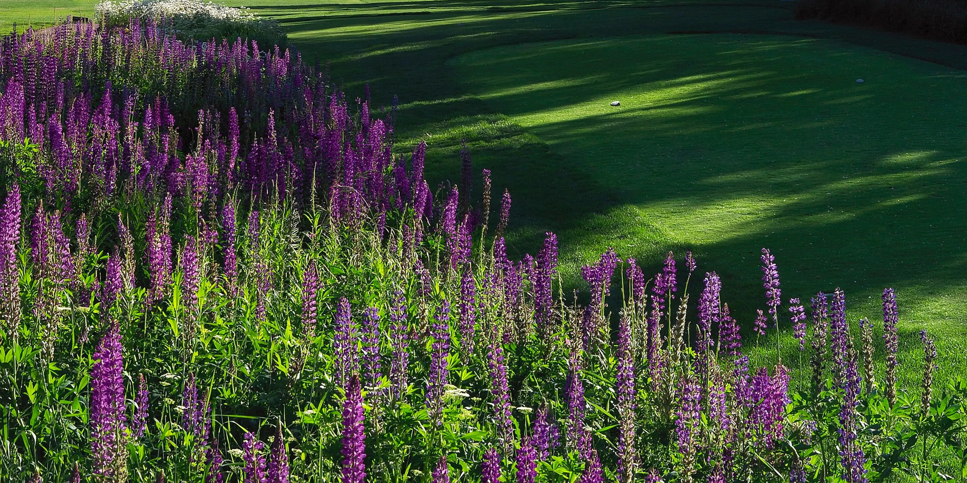 Landscape putting greens and fairway photo of the Rollingstone Ranch Golf Club golf course