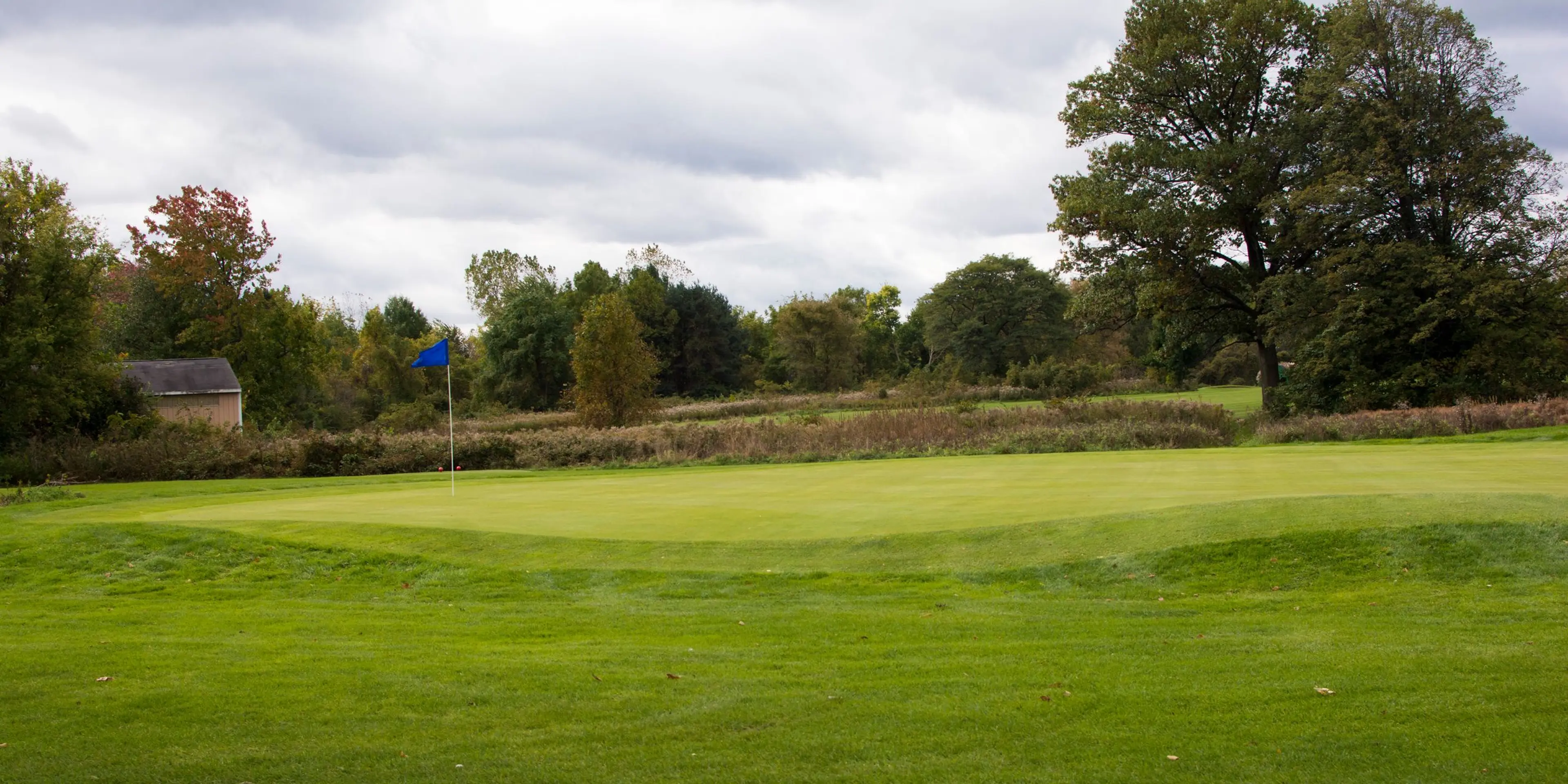 Landscape putting greens and fairway photo of the Rouge Park Golf Course golf course