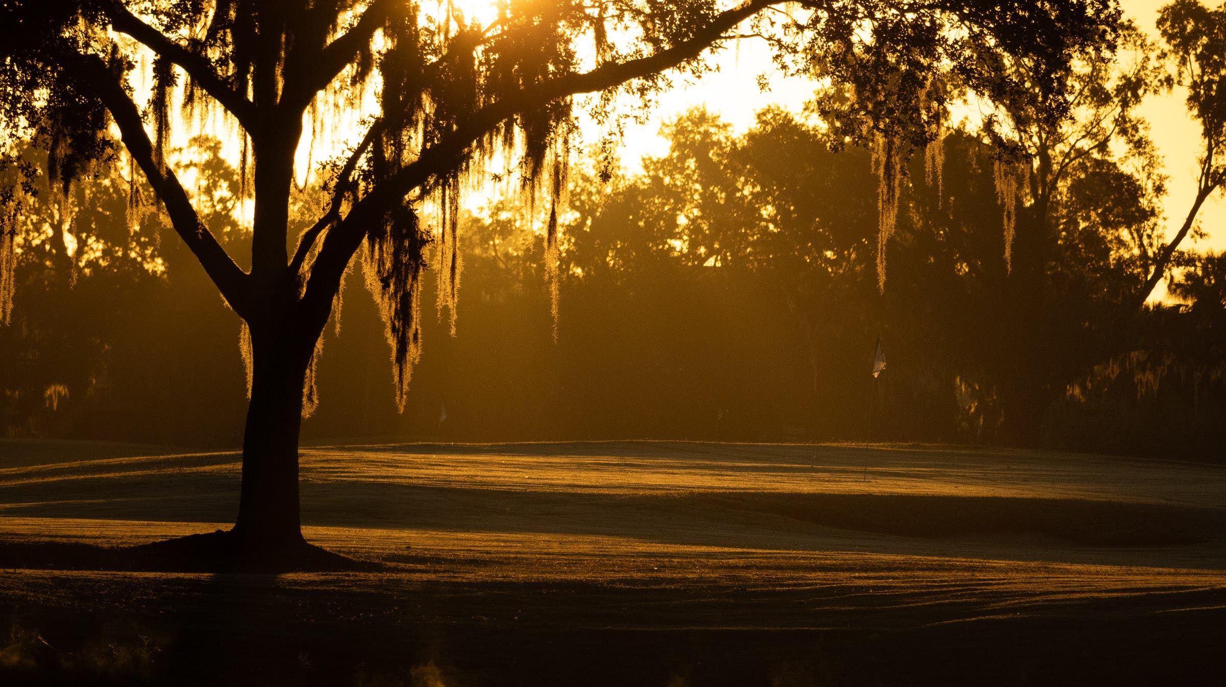 Landscape putting greens and fairway photo of the Saddlebrook Golf & Tennis Resort golf course