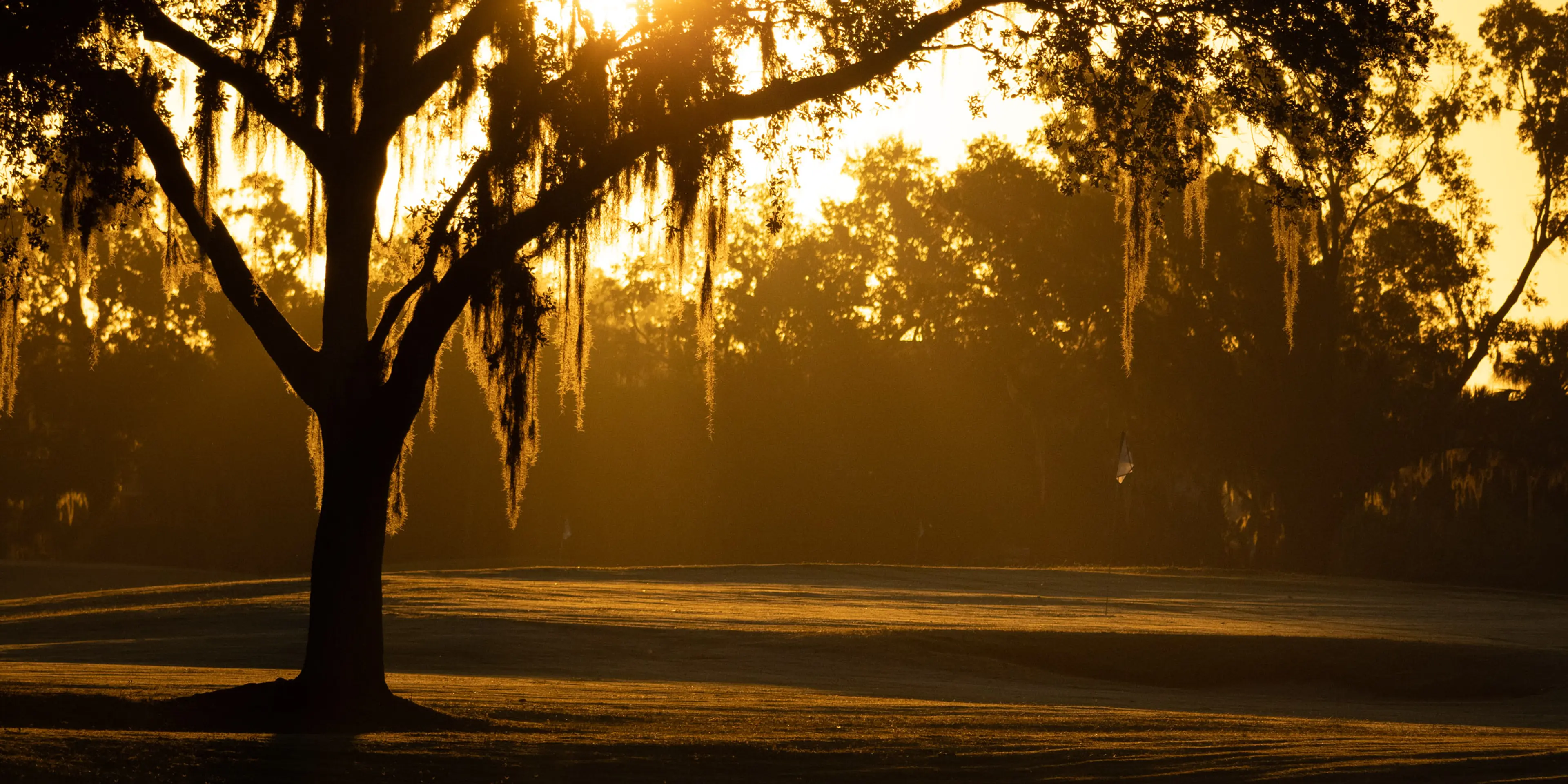 Landscape putting greens and fairway photo of the Saddlebrook Golf & Tennis Resort golf course