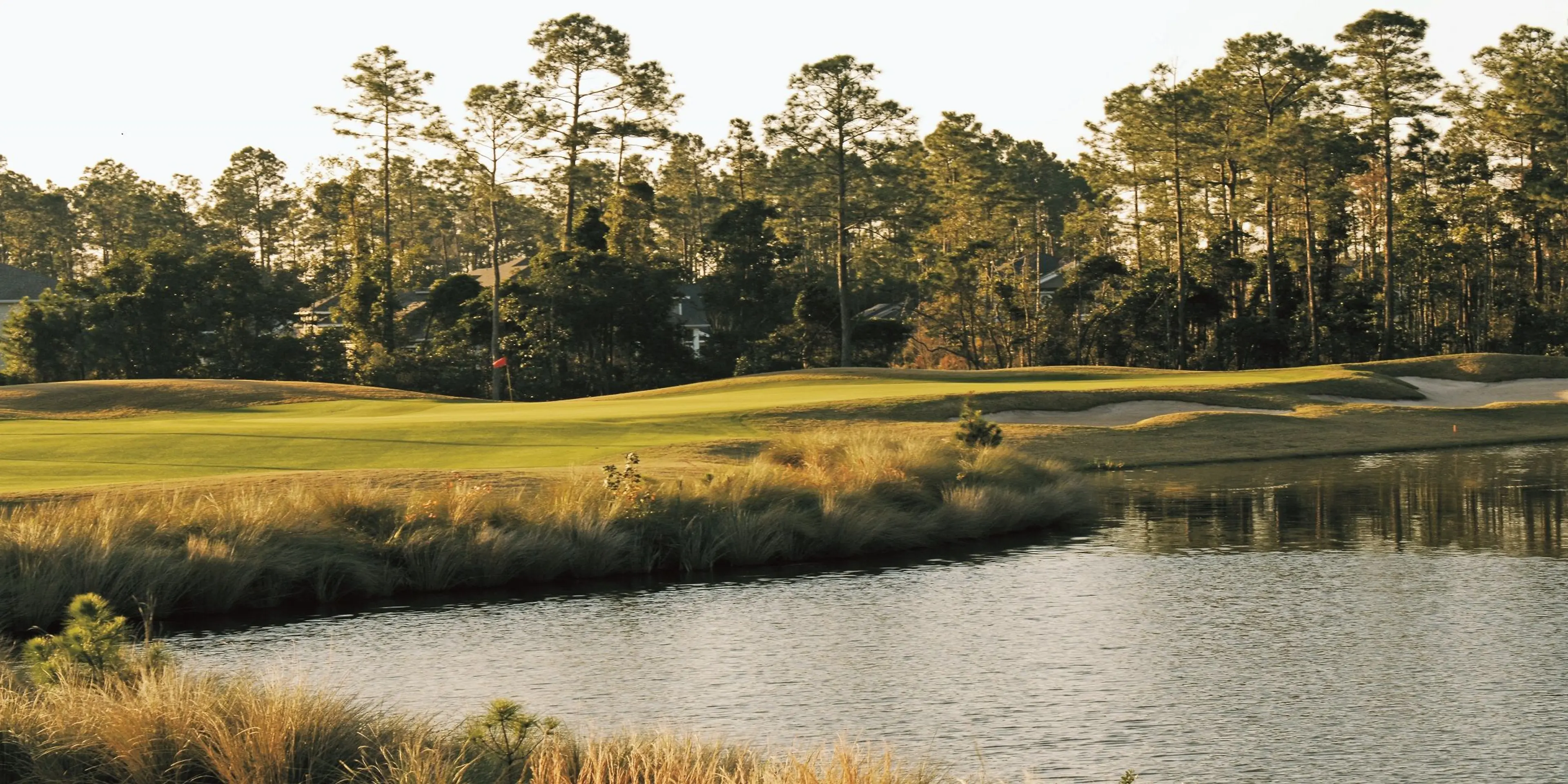 Landscape putting greens and fairway photo of the St. Johns Golf & Country Club golf course