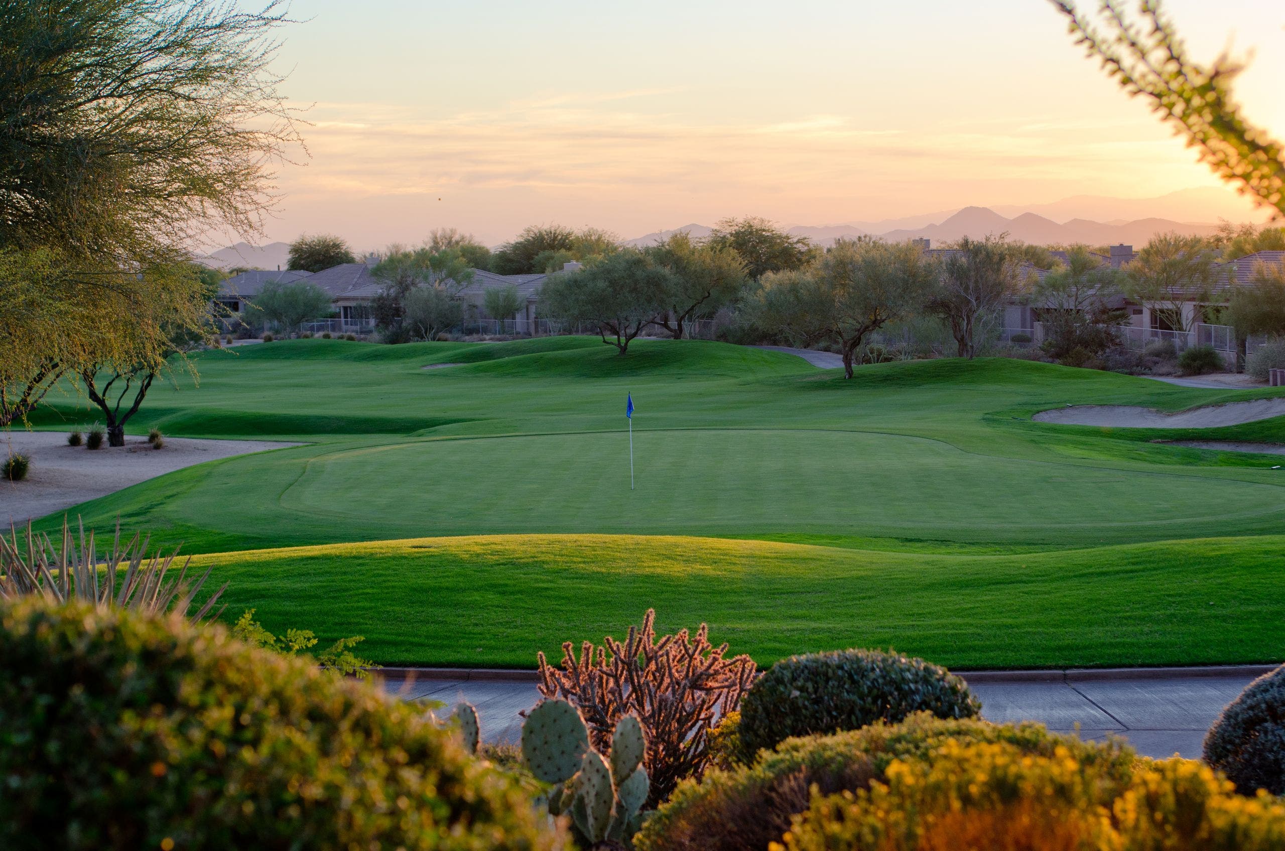 Course photo for Terravita Golf Club